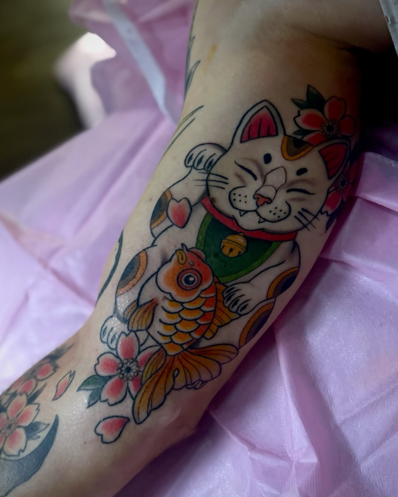 Lucky cat and koi fish American traditional tattoo on the forearm by Andi Fitz ✨ San Diego Tattoo Artist, San Diego, California