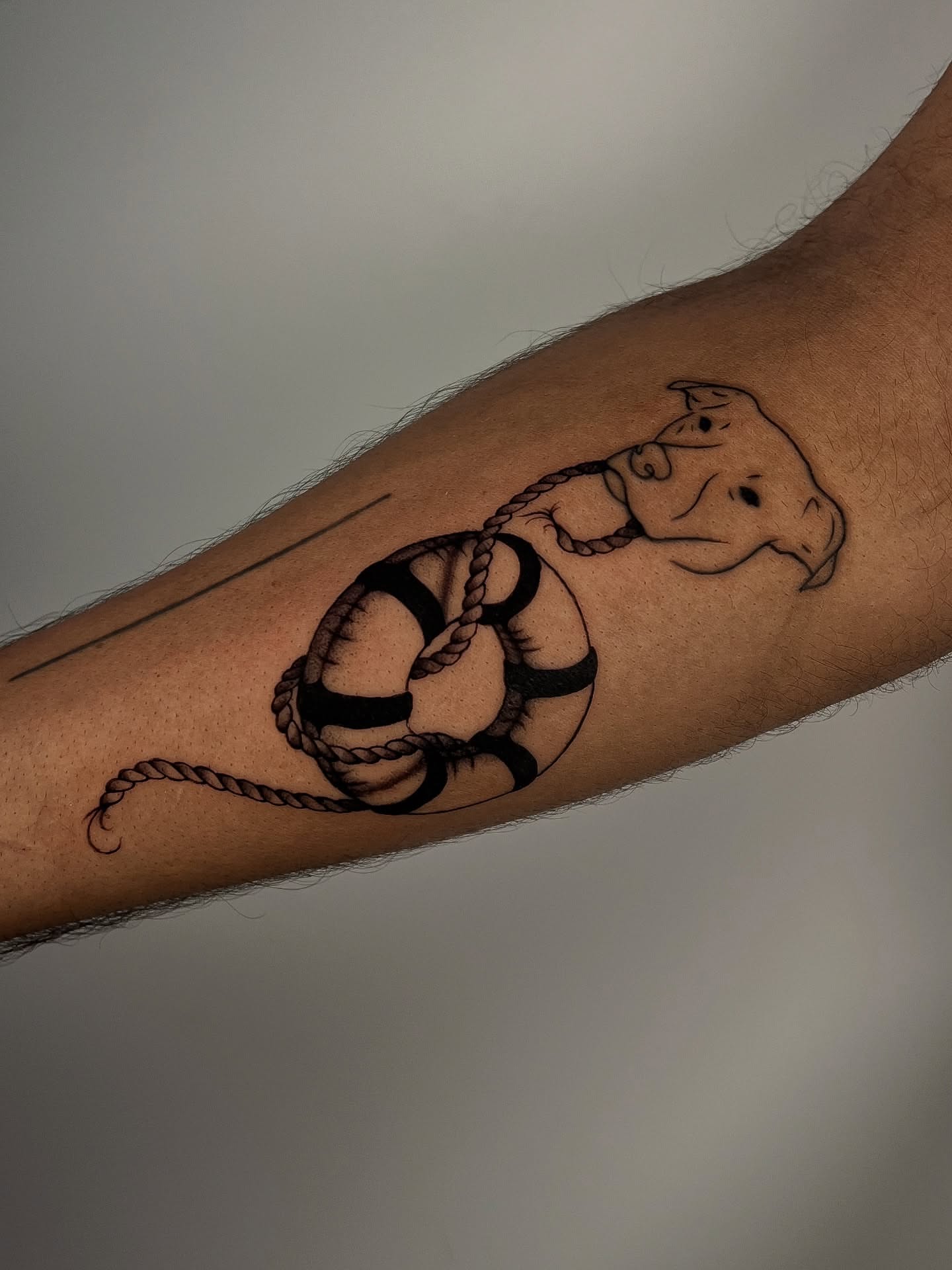 Dog with life preserver black and grey tattoo on the forearm by Rebel milly Tattoo