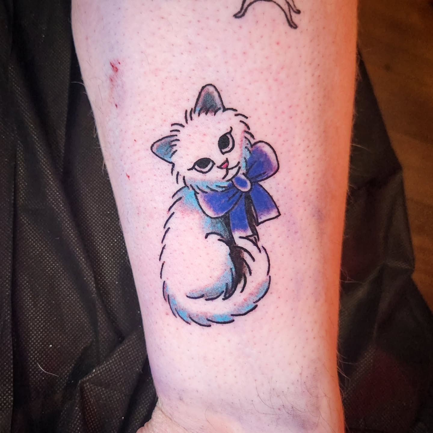 Kitten watercolor tattoo on the forearm by Fia Lopez