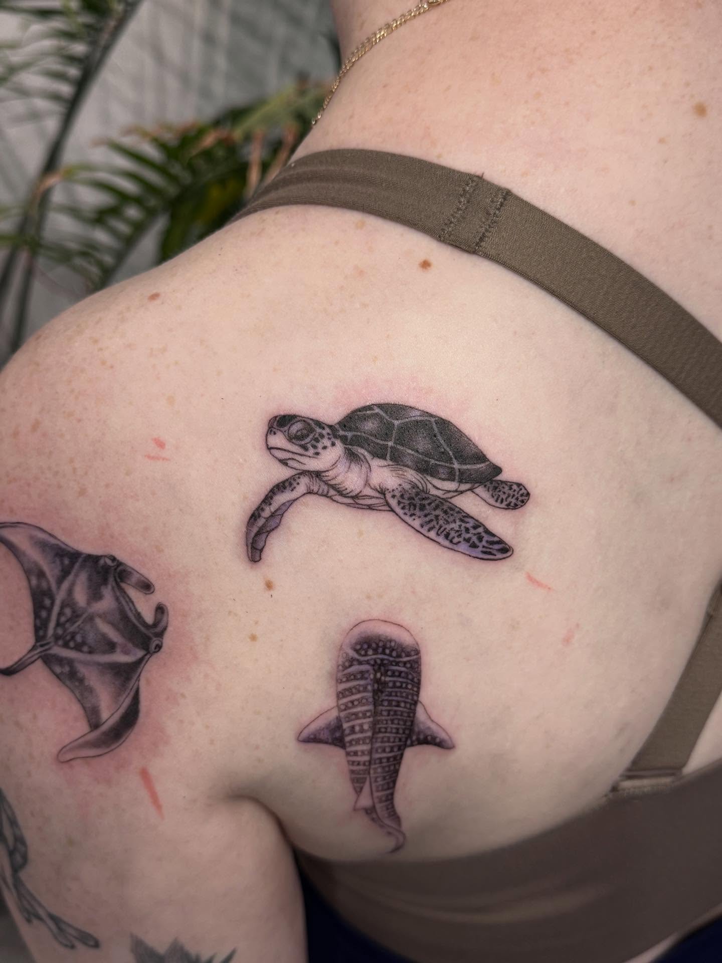 Sea turtle black and grey tattoo on the back by Nat🫧