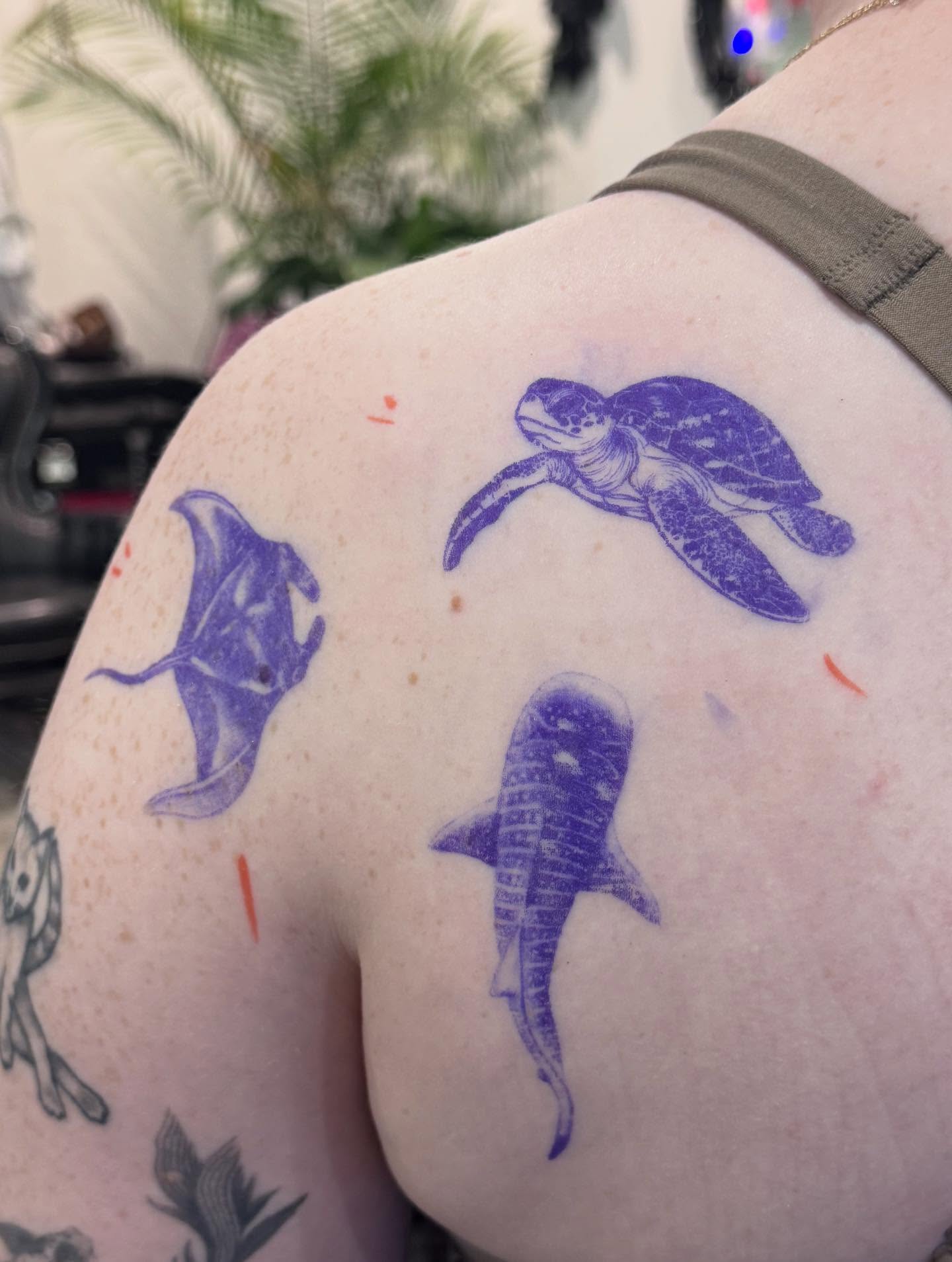 Sea creatures dotwork tattoo on the shoulder by Nat🫧