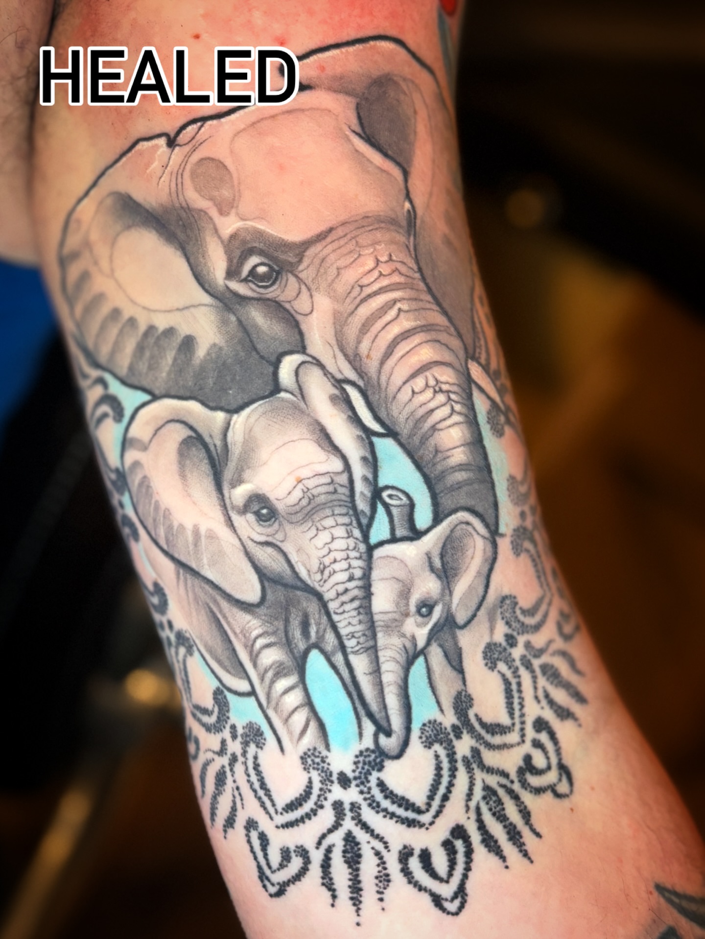 Elephants realism tattoo on the forearm by Tony Lucero, Wheat Ridge, Colorado