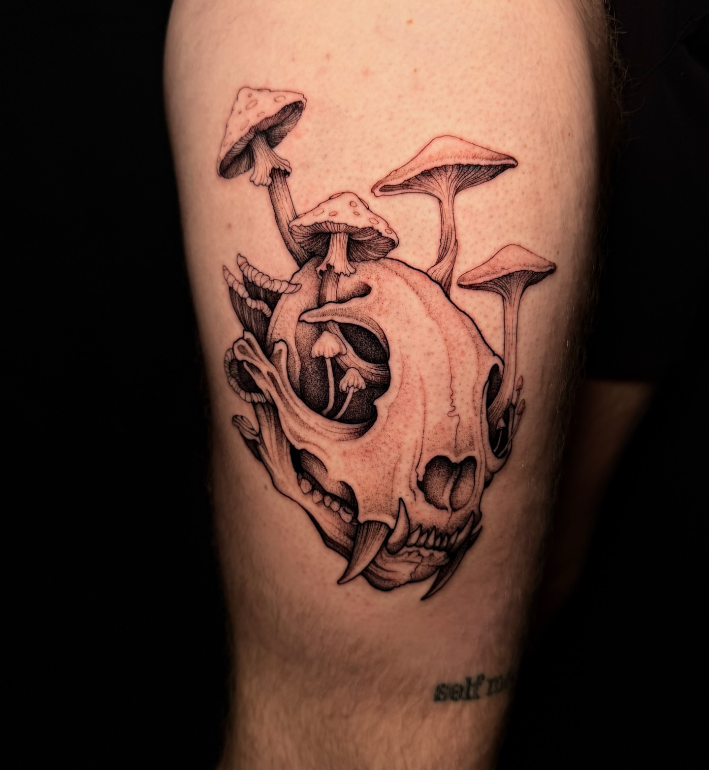 Mushroom skull realism tattoo on the forearm by Carrie
