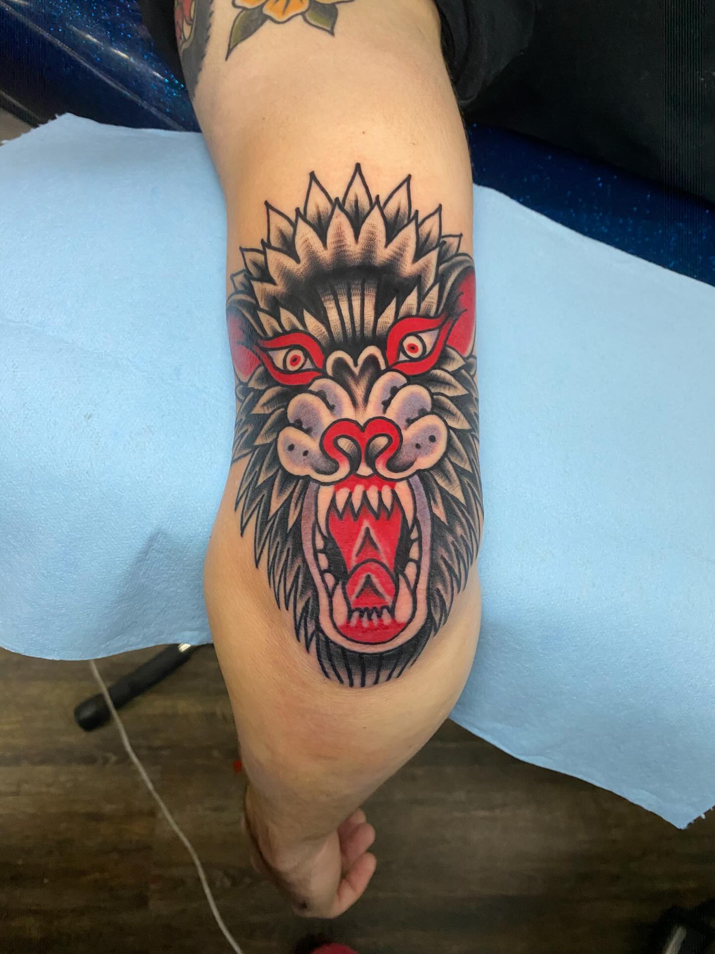 Lion American traditional tattoo on the forearm by Brandon Heredia, Vacaville, California