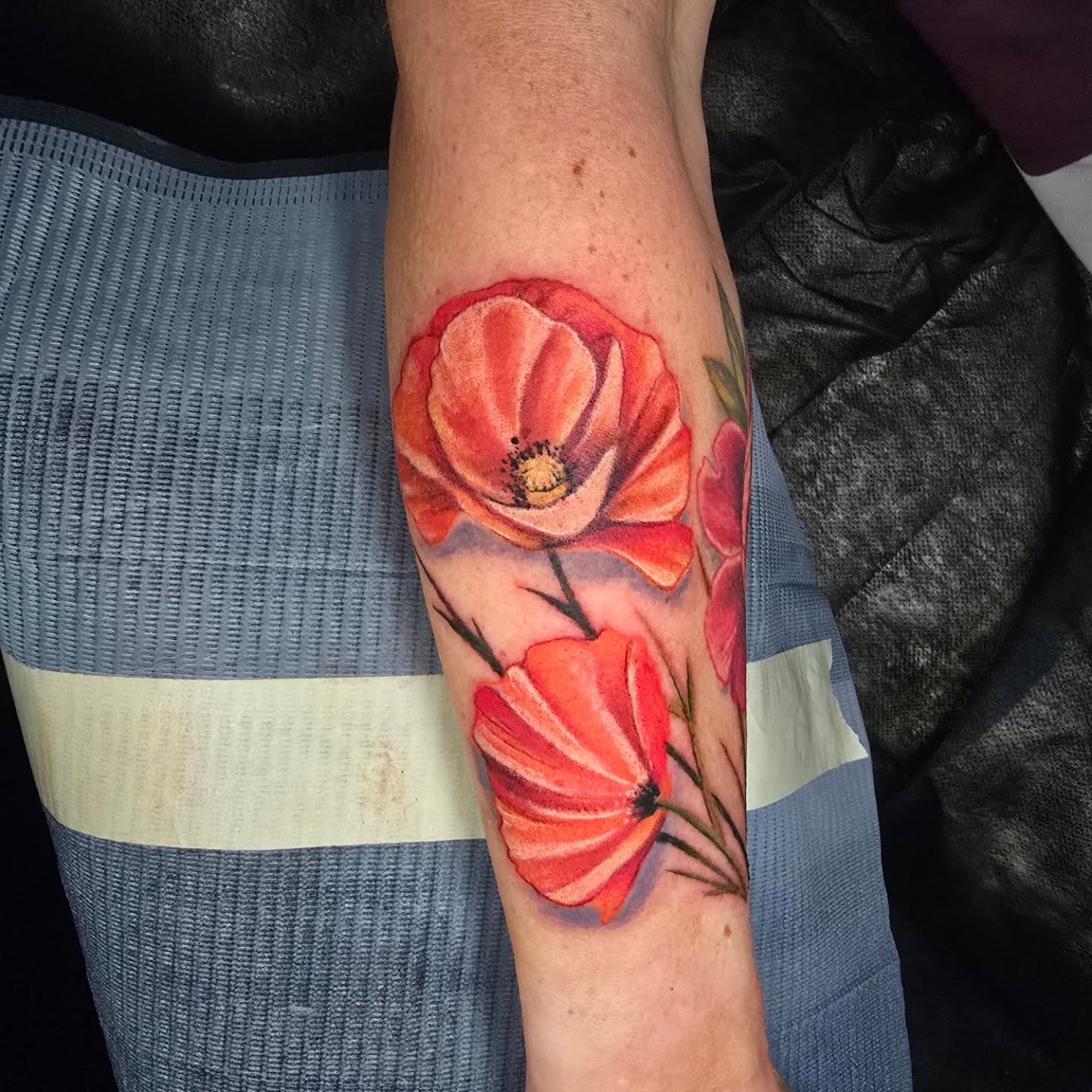 Poppy flowers realism tattoo on the forearm by Tivis Phillips