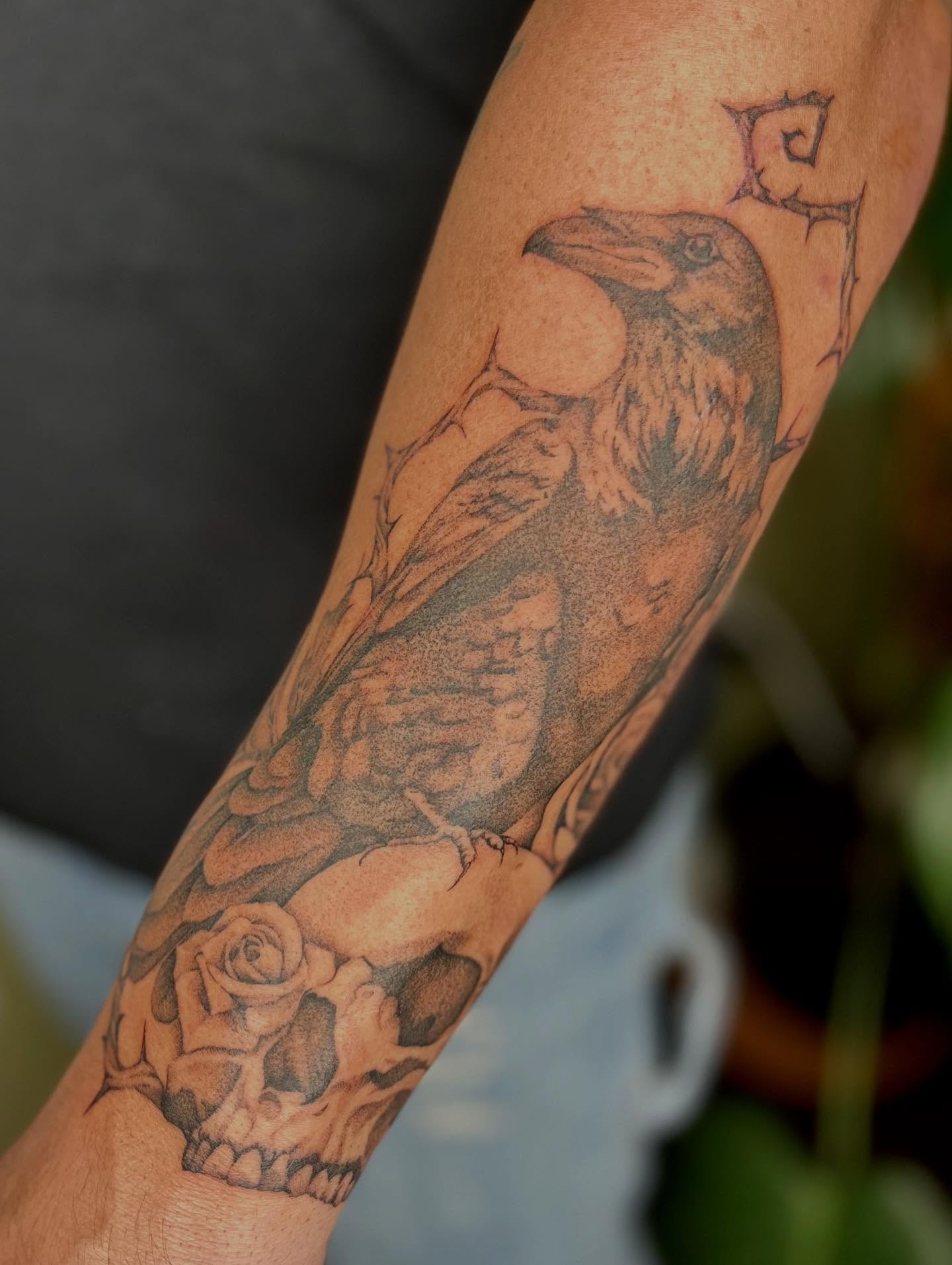 Crow and skull realism tattoo on the forearm by Ash F