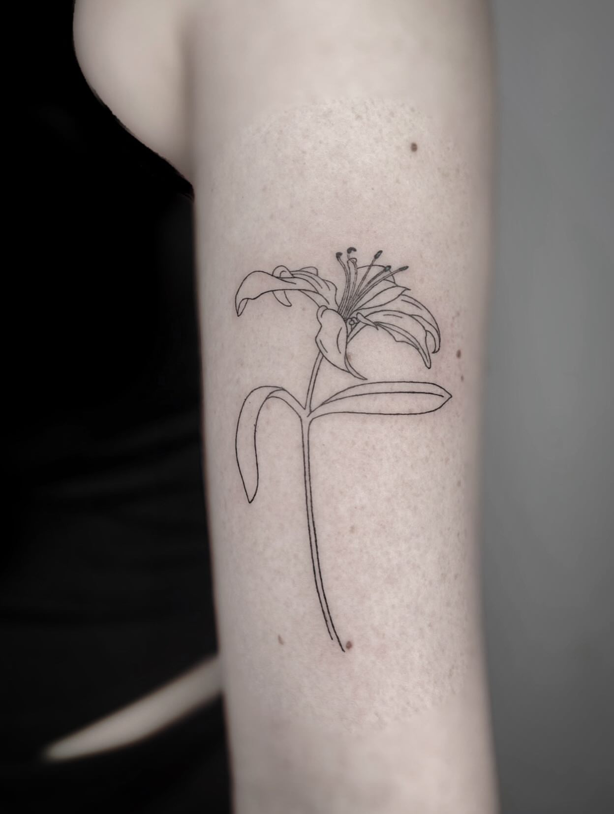 Tattoo by @aquanoir — fine_line