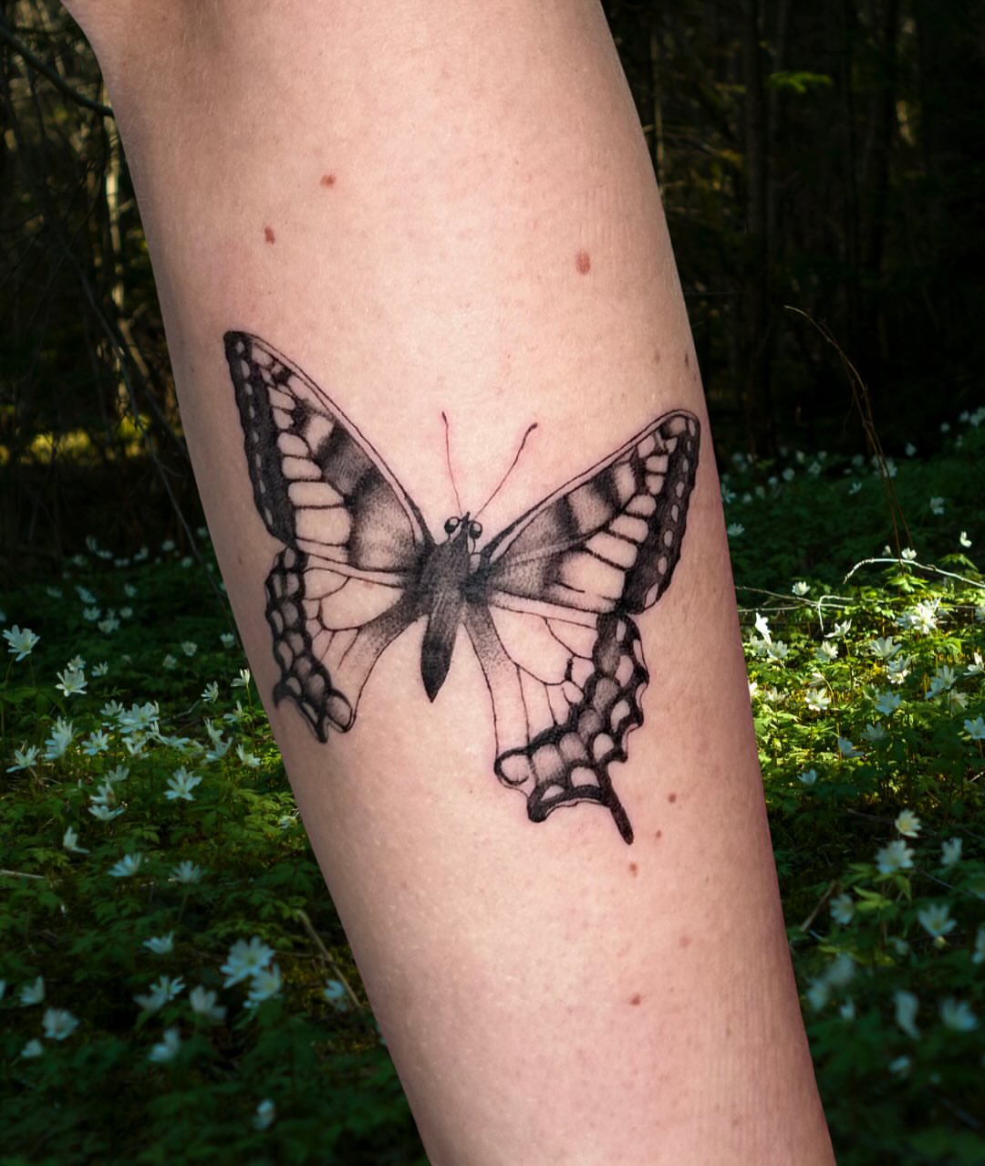 Butterfly realism tattoo on the forearm by macie ❥ austin tattoo artist, Austin, Texas