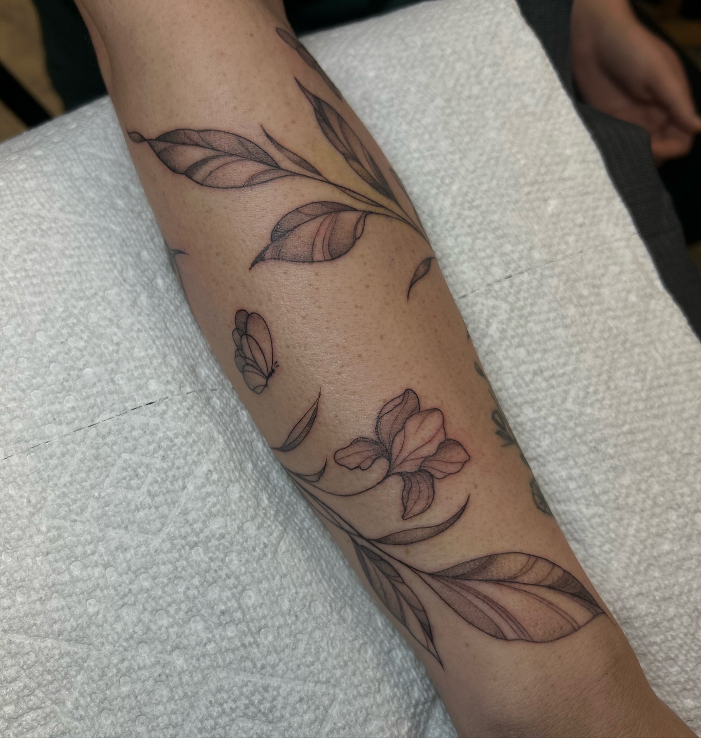 Floral and butterfly black and grey tattoo on the forearm by alyssa jade ⭐️