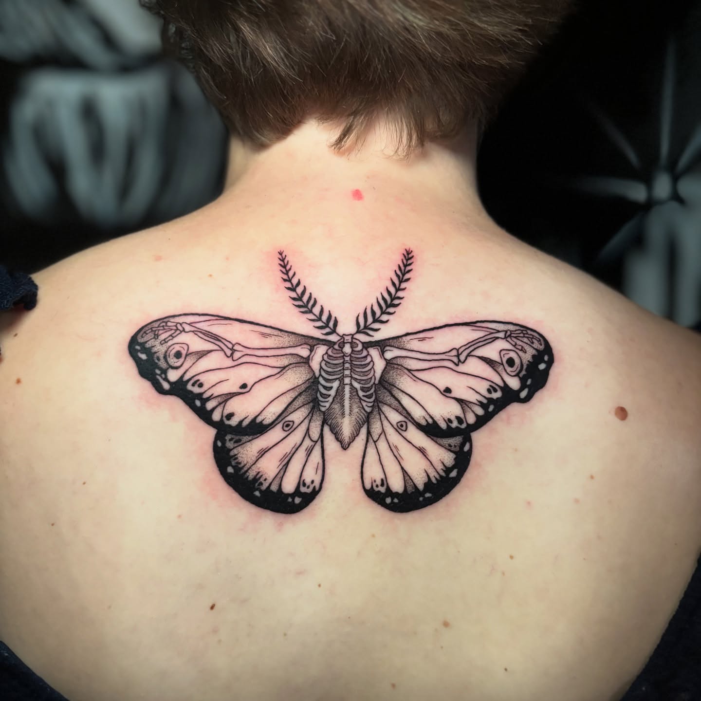 Butterfly black and grey tattoo on the back by 𝕊𝕒𝕞 ☪︎ ִ ࣪𖤐 𐦍 ☾𖤓