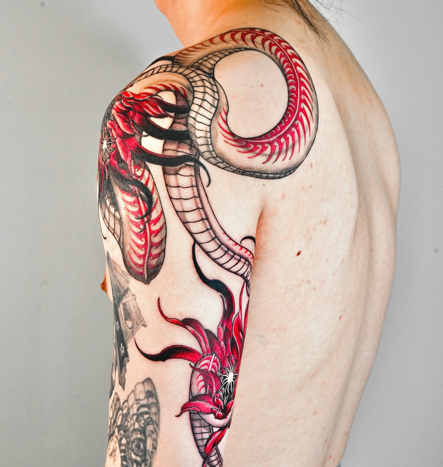 Snake neo-traditional tattoo on the shoulder by ๐
๐๐๐
