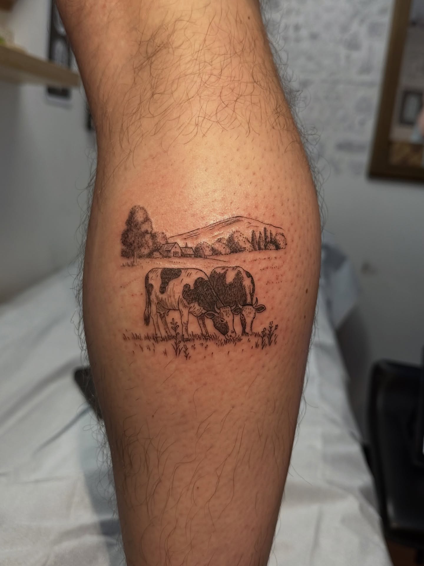Cow grazing black and grey tattoo on the forearm by Piccolino, Cambridge, Massachusetts