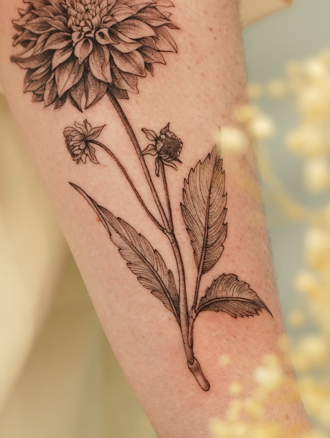 Tattoo by @tinnasole — fine_line, dotwork