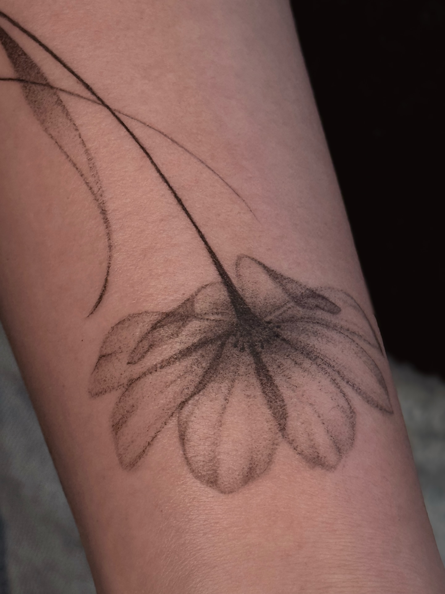 Tattoo by @yourdarkstory — black_and_grey