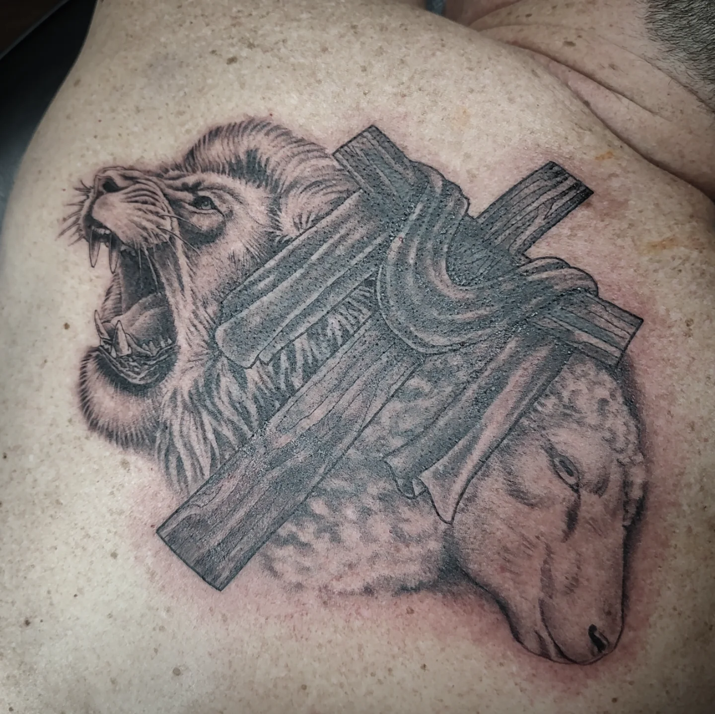 Lion with armor realism tattoo on the shoulder by Jennifer Fowler