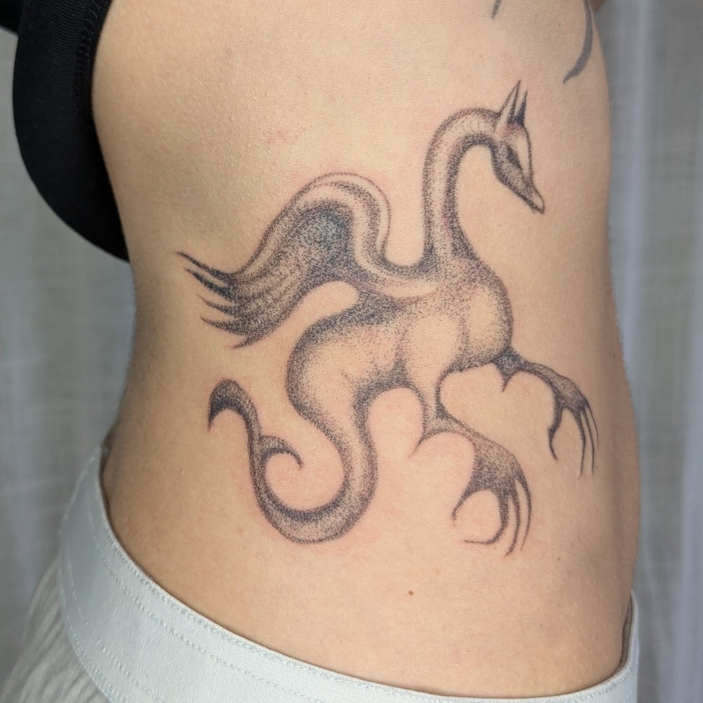 Phoenix dotwork tattoo on the ribs by theo, Portland, Oregon