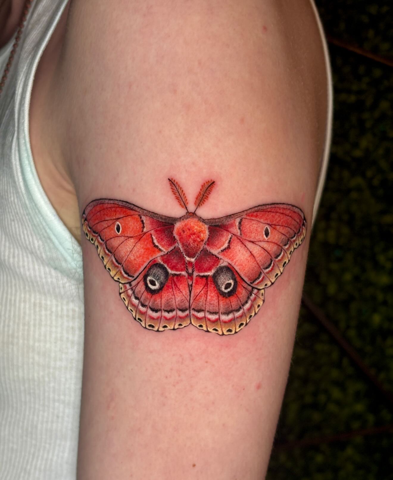 Butterfly realism tattoo on the forearm by jo, Wichita, Kansas