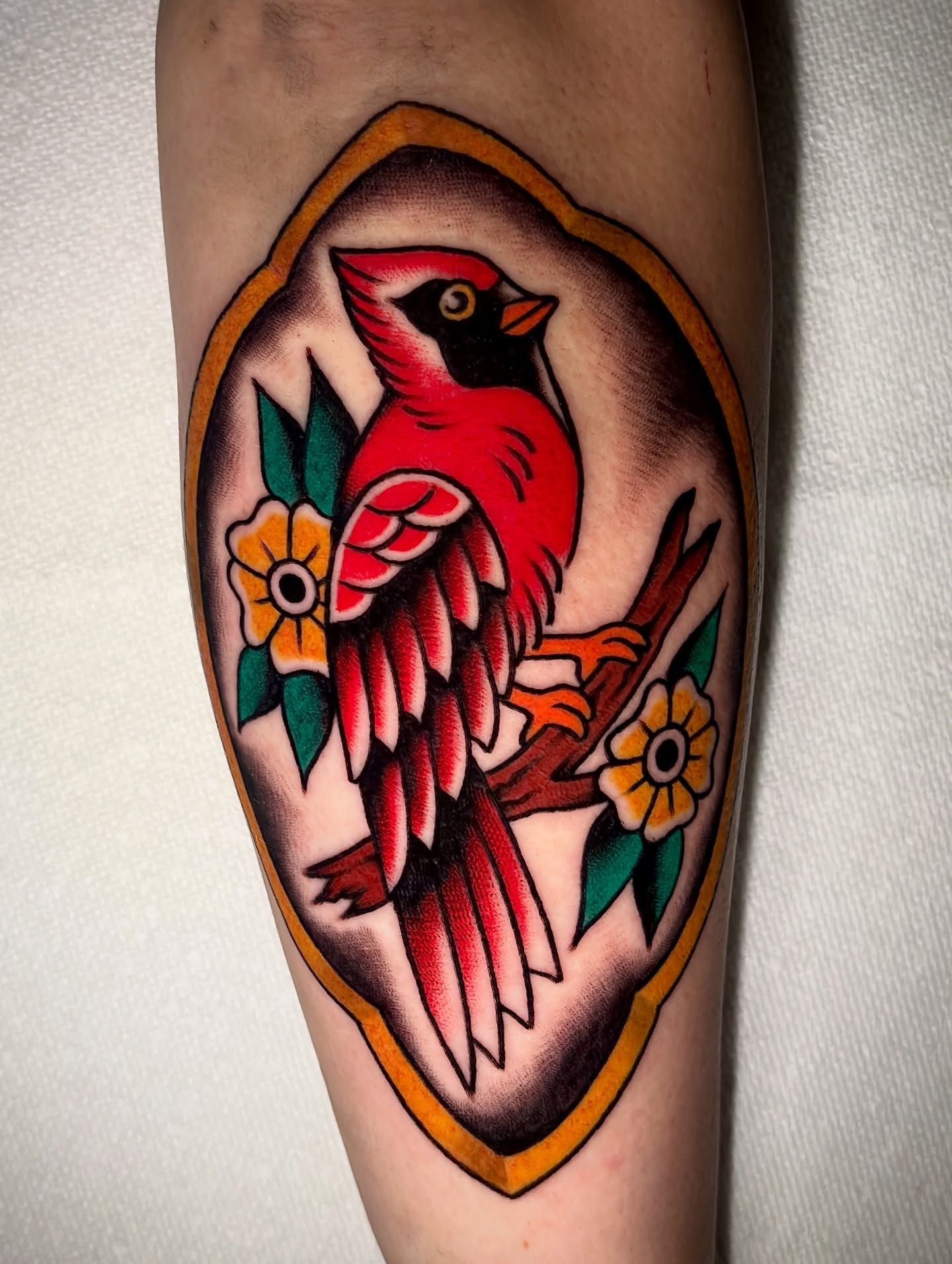 Cardinal bird American traditional tattoo on the forearm by Matt Elliott, Murfreesboro, Tennessee