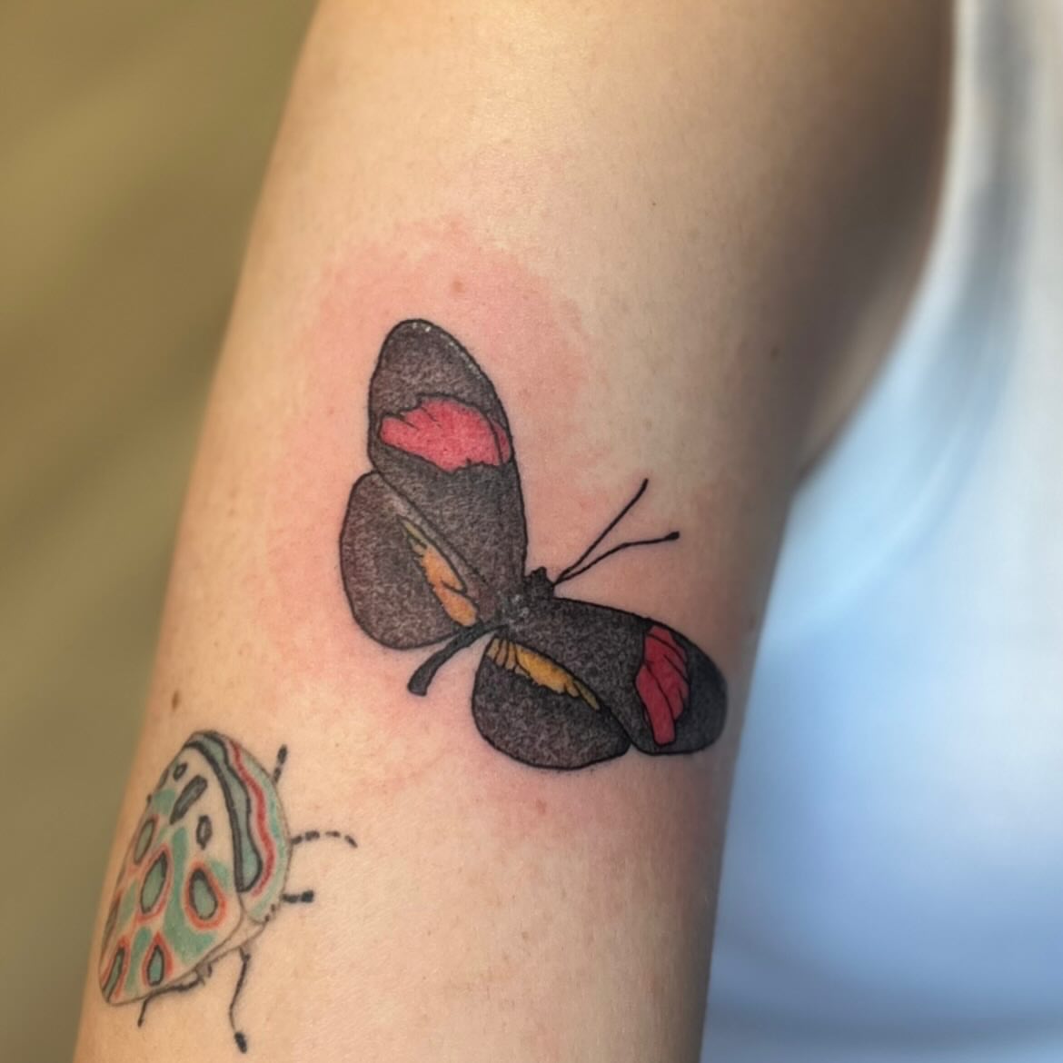 Butterfly realism tattoo on the forearm by LooSid