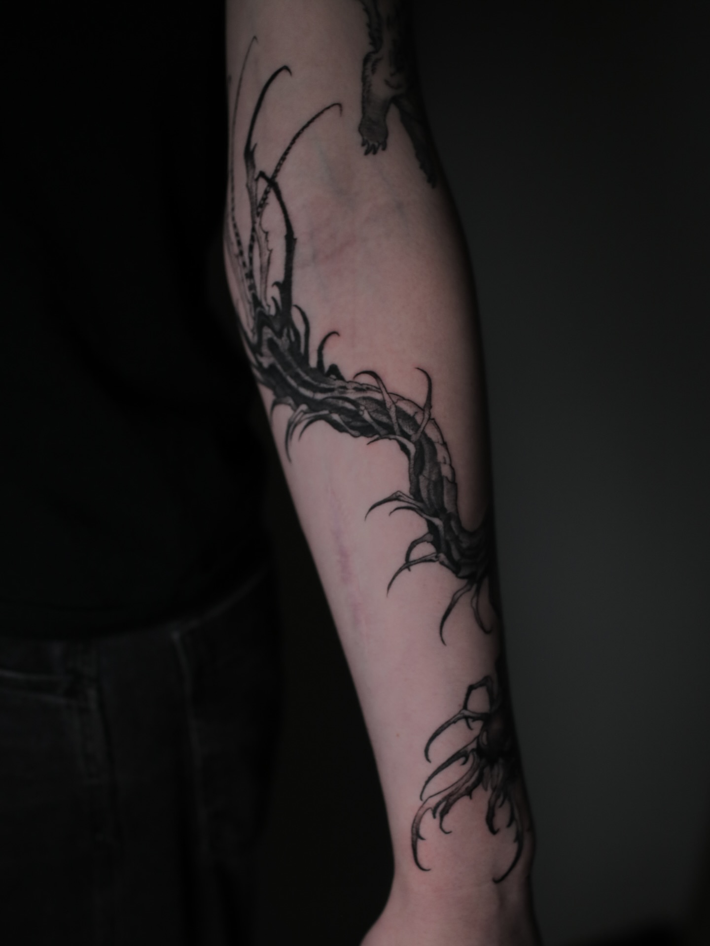 Tattoo by @strokin_dark — black_and_grey, dark_realism