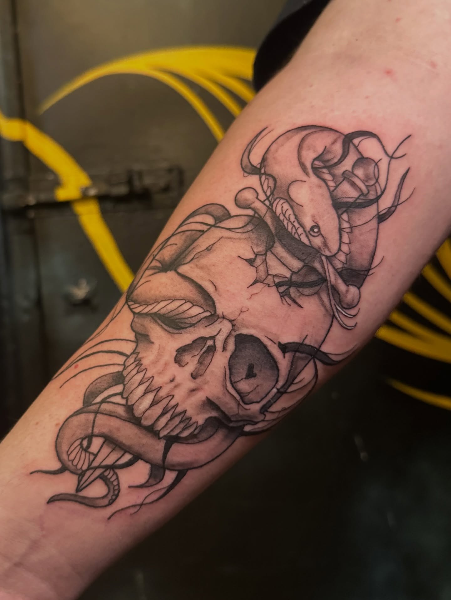 Skull with snake realism tattoo on the forearm by Alexander Haber