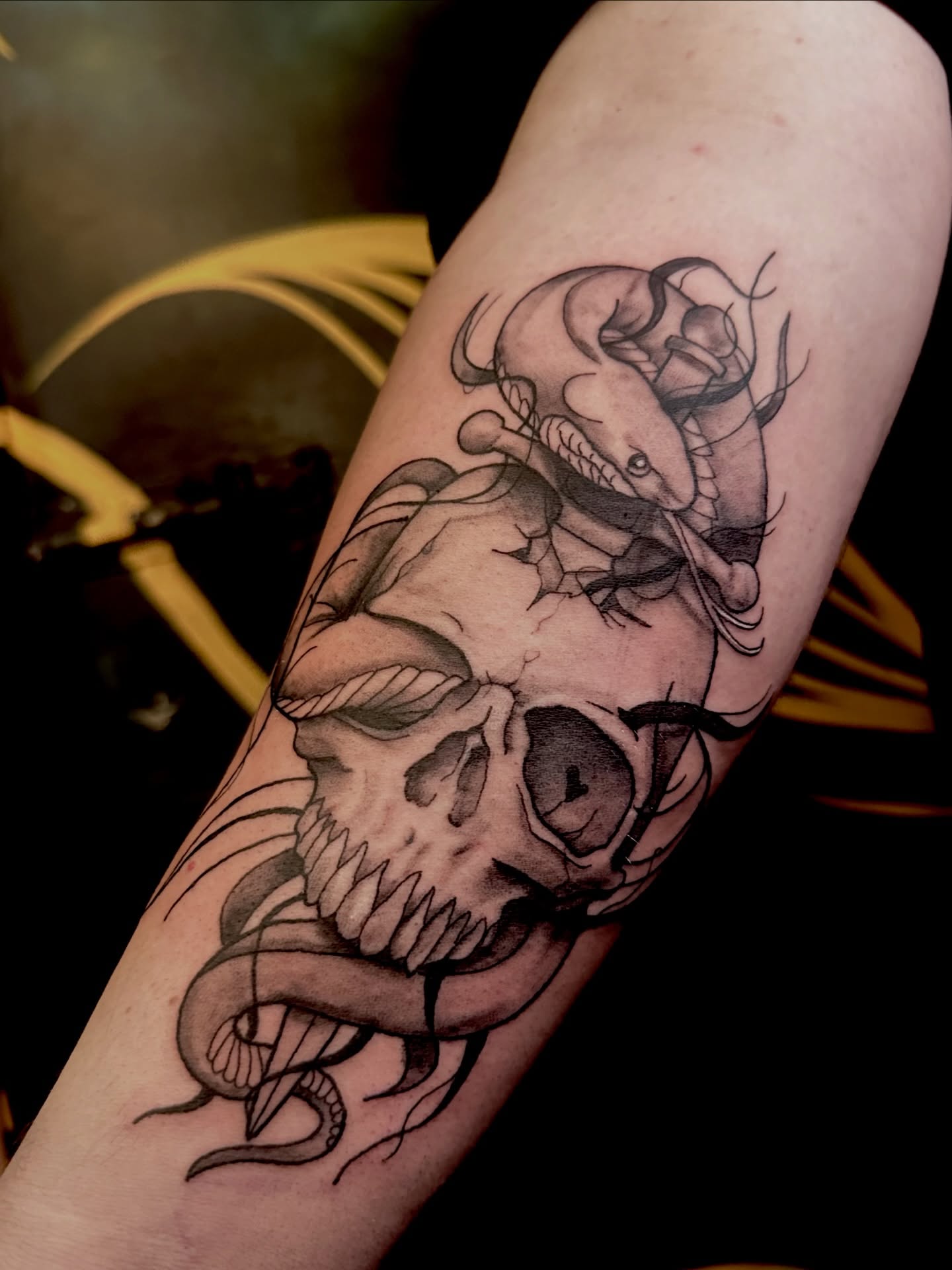 Skull and snake realism tattoo on the forearm by Alexander Haber