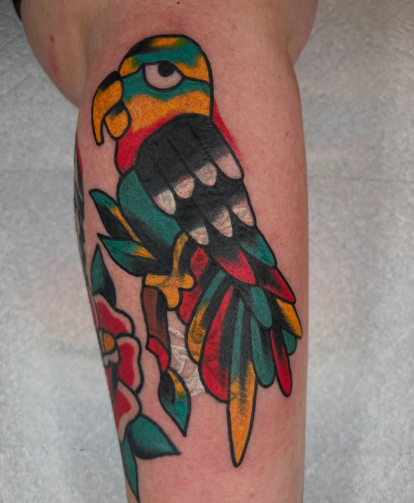 Parrot American traditional tattoo on the forearm by Like A Horse Corral