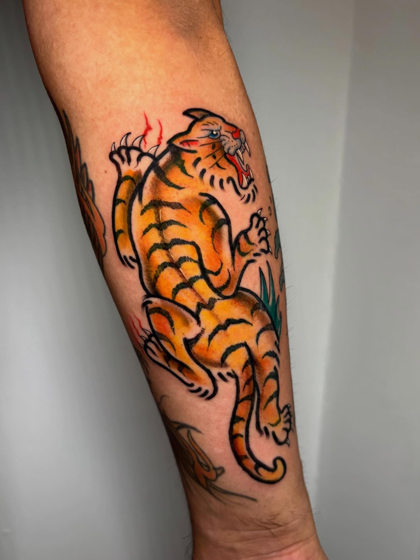 Tiger American traditional tattoo on the forearm by ✶ 𝑺𝑰𝑳𝑽𝑨𝑵𝑨