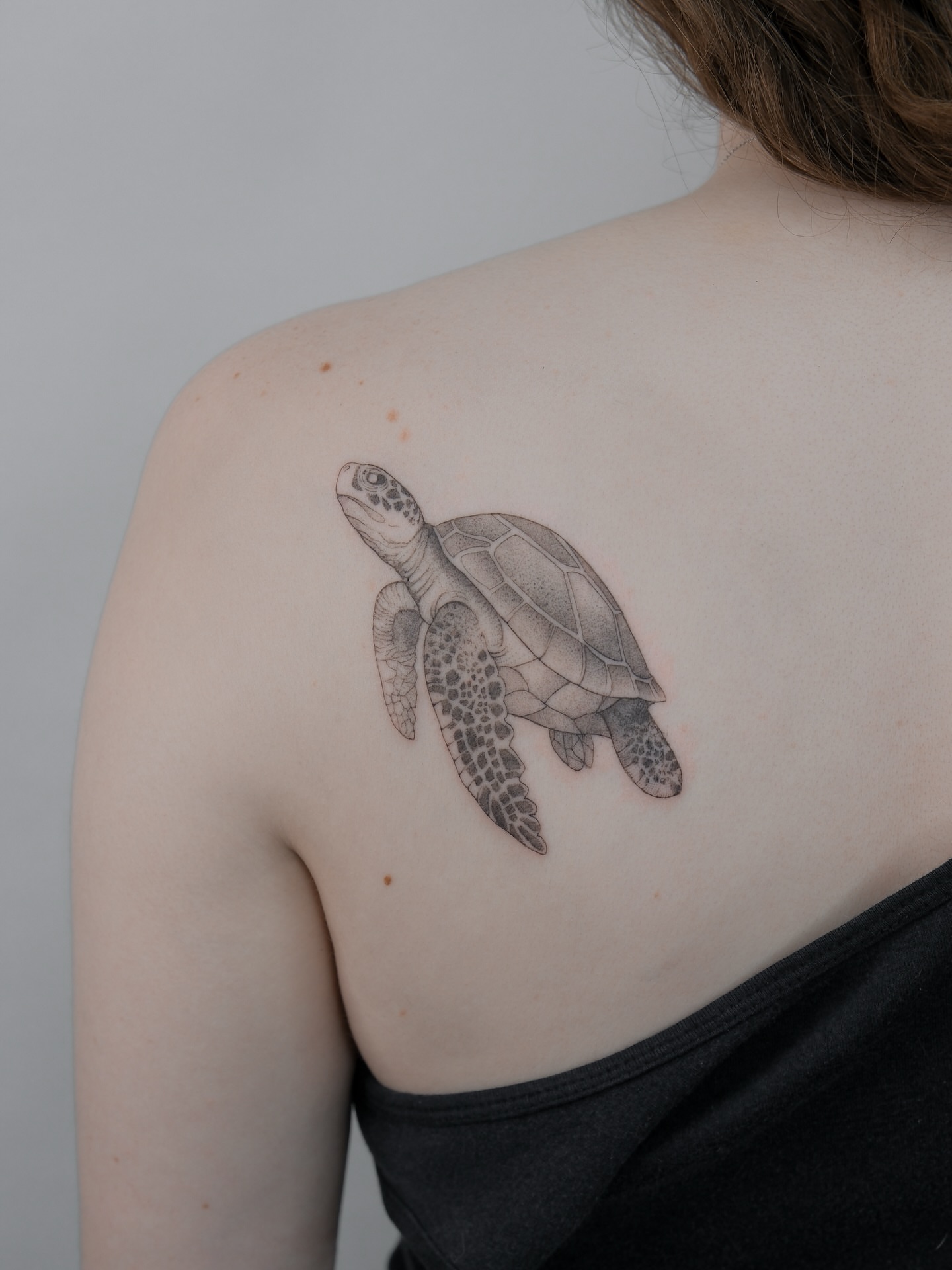 Sea turtle realism tattoo on the shoulder by Tattoo in Charlotte NC, Charlotte, North Carolina
