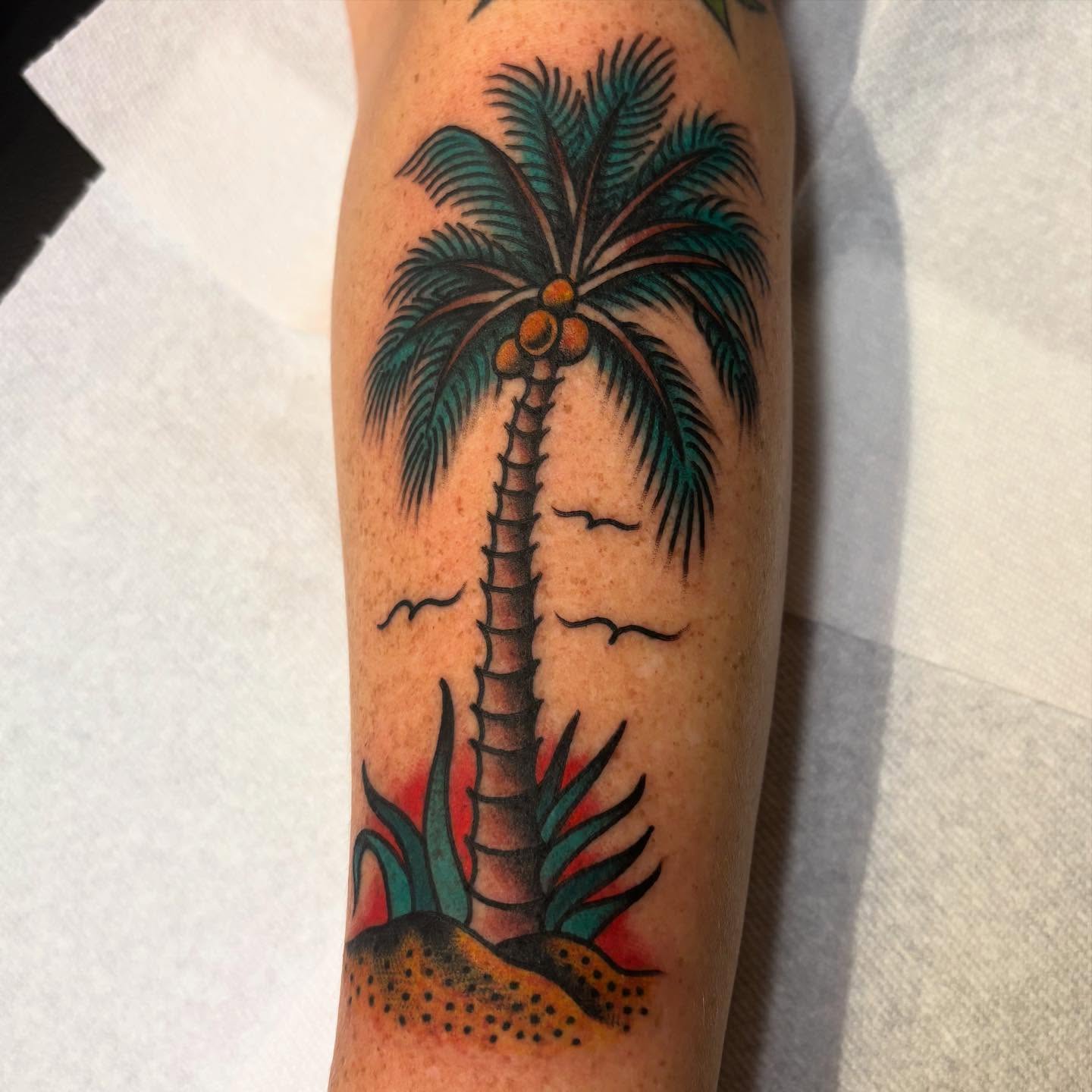 Palm tree American traditional tattoo on the forearm by Texas Jonah