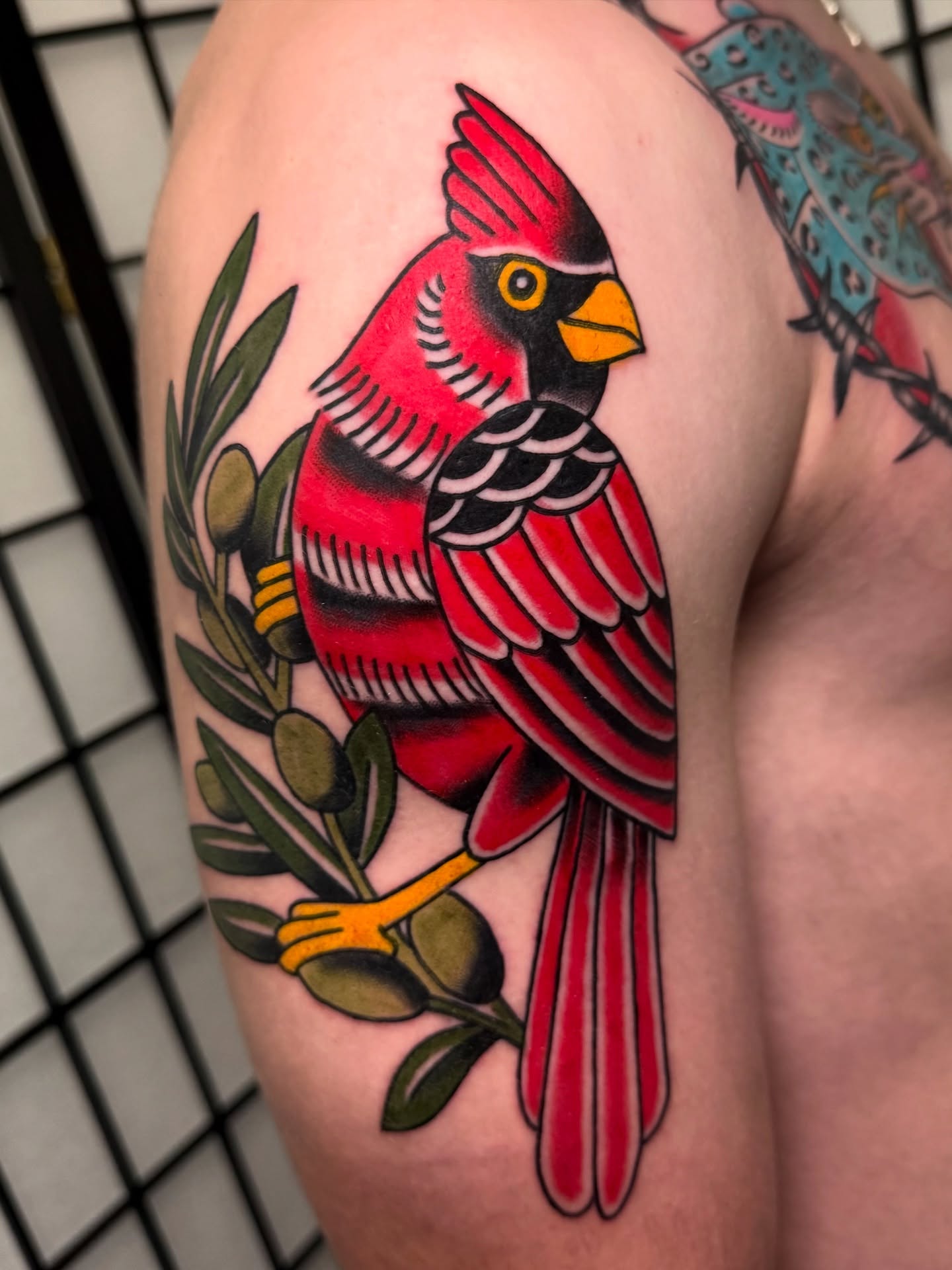 Cardinal bird American traditional tattoo on the shoulder by 𝕯𝖗𝖊𝖜 𝕲𝖎𝖑𝖊𝖘 𝕵𝖆𝖙𝖙𝖔𝖔, Addison, Texas