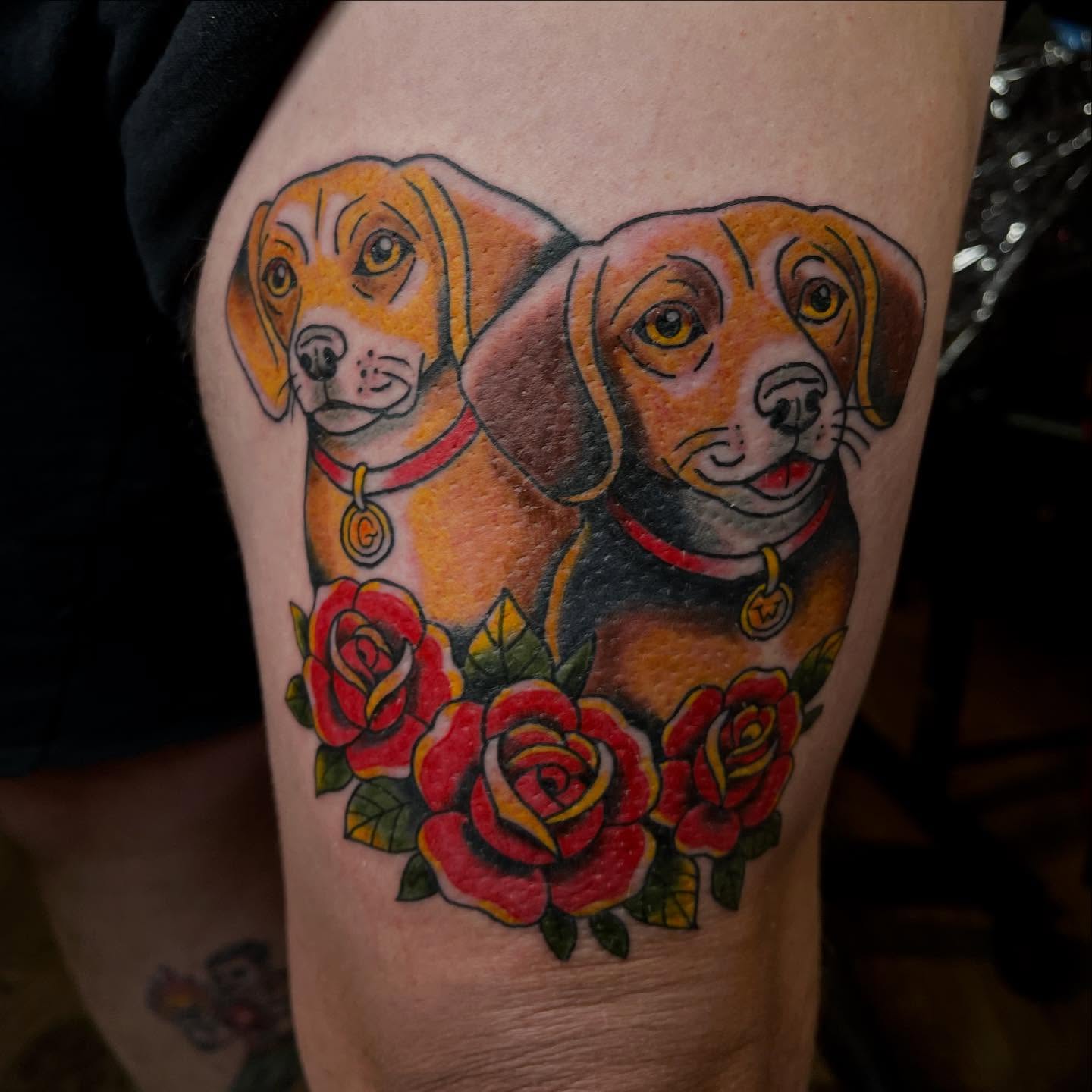 Beagle dogs and roses American traditional tattoo on the thigh by Josh Brownell