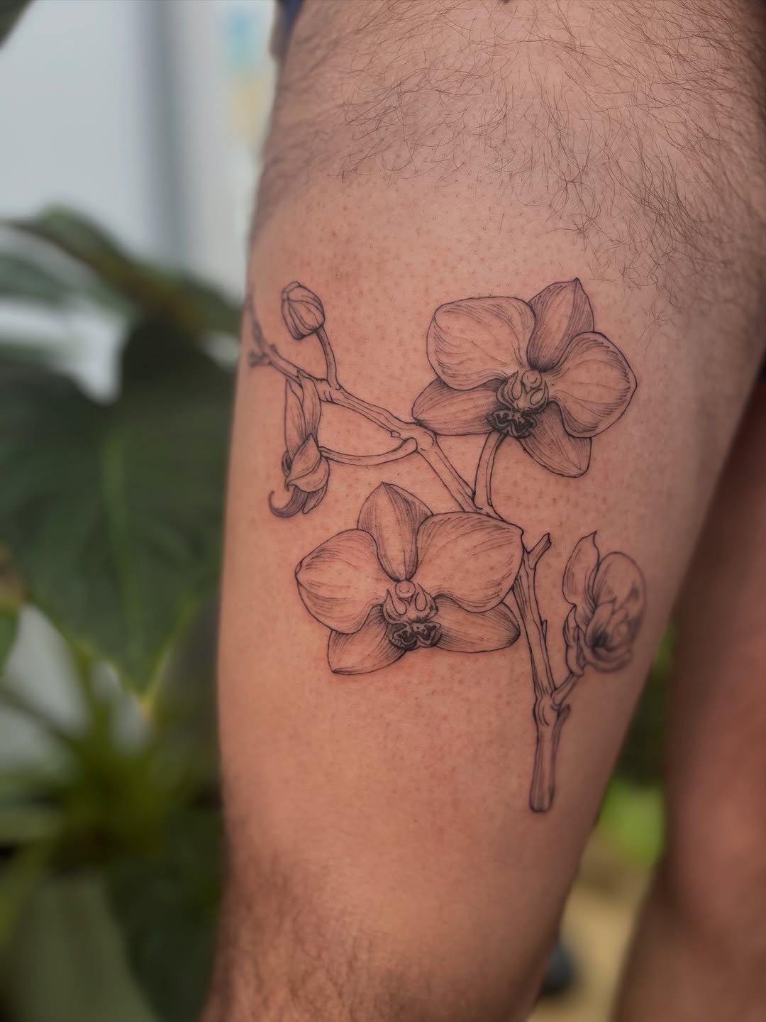 Tattoo by @crispyorchids — fine_line, realism