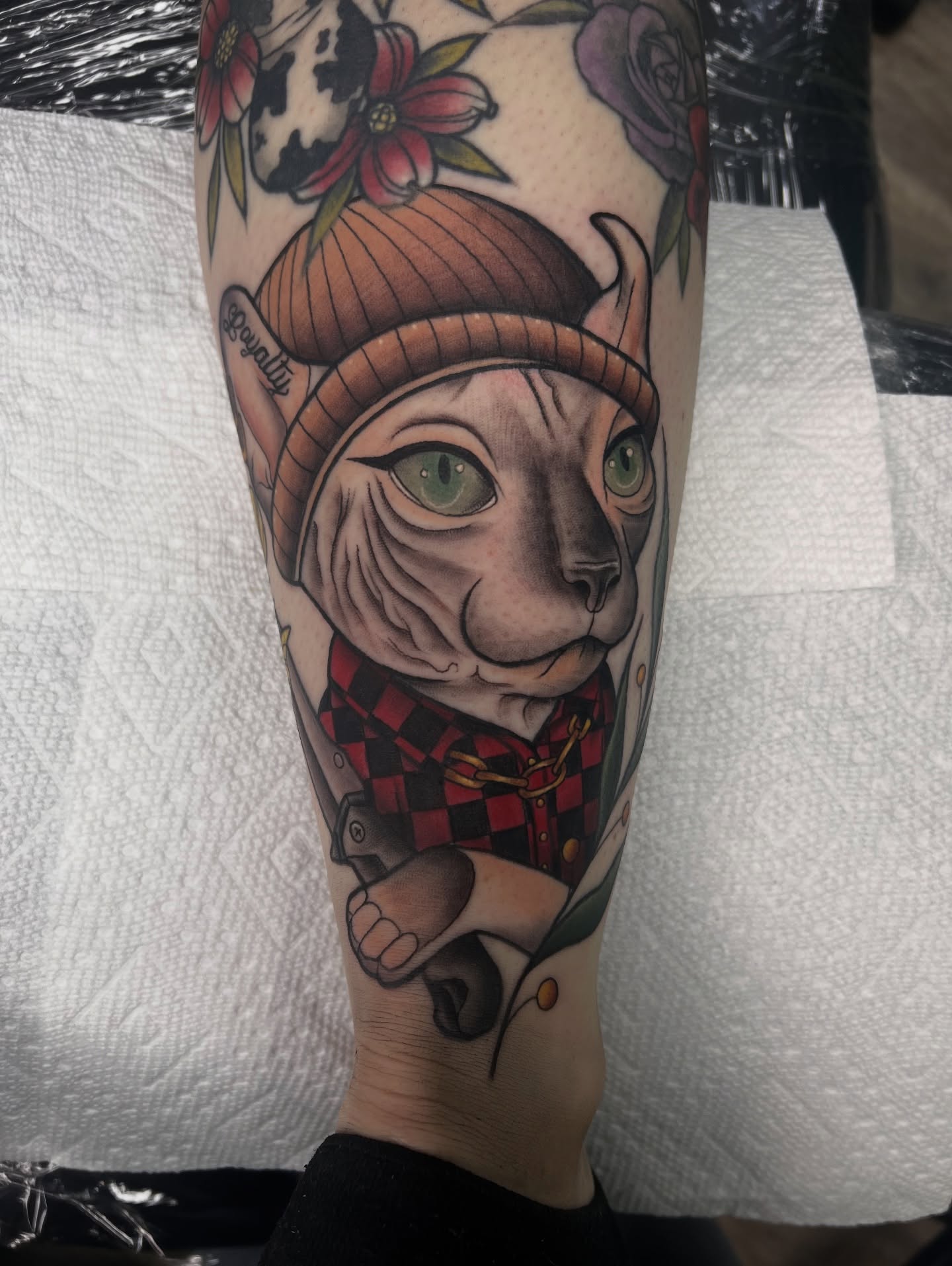 Cat in plaid shirt American traditional tattoo on the forearm by Olivia Suzanne Fada