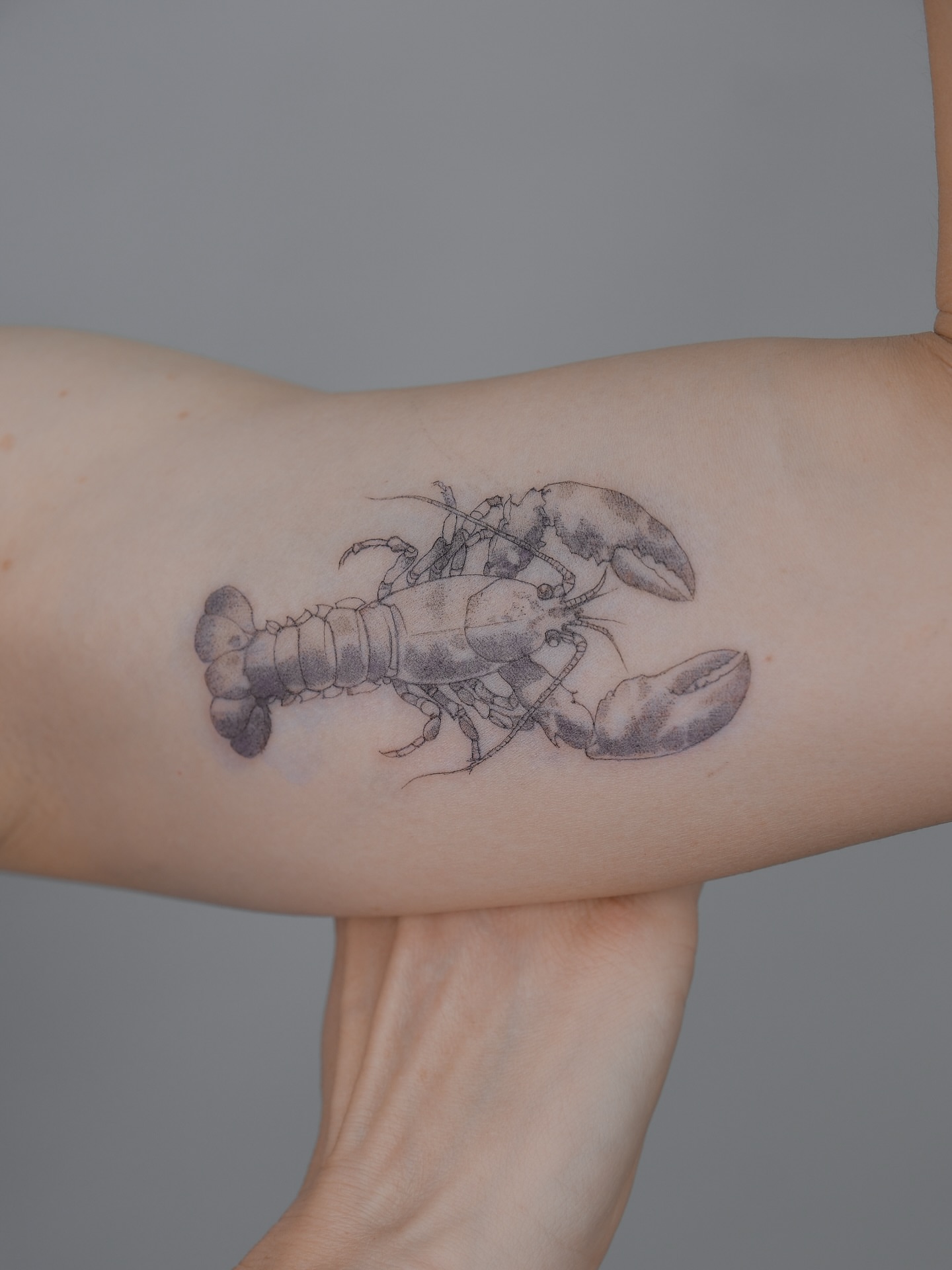 Lobster realism tattoo on the forearm by Tattoo in Charlotte NC, Charlotte, North Carolina