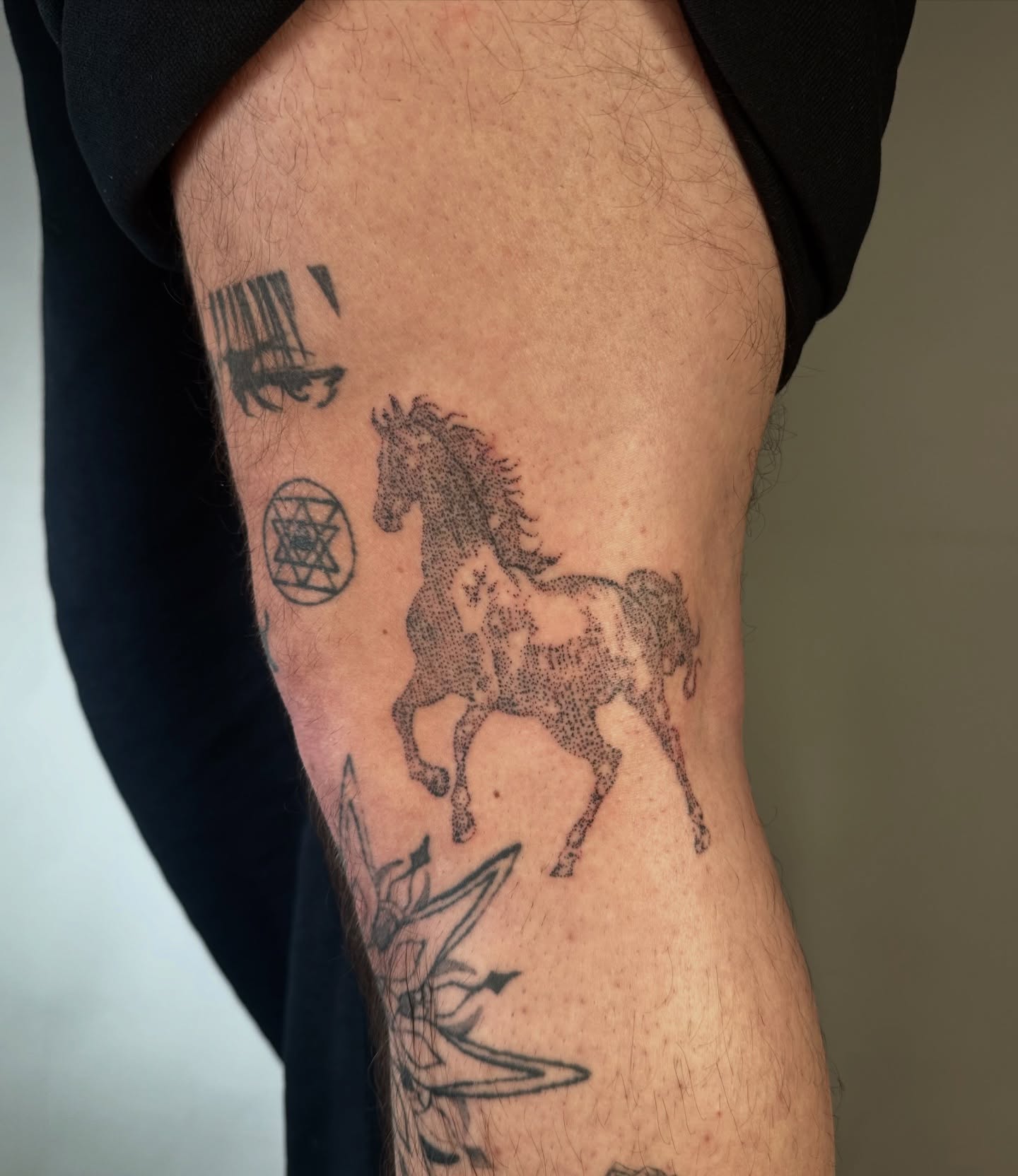 Tattoo by @suzietattoo — dotwork