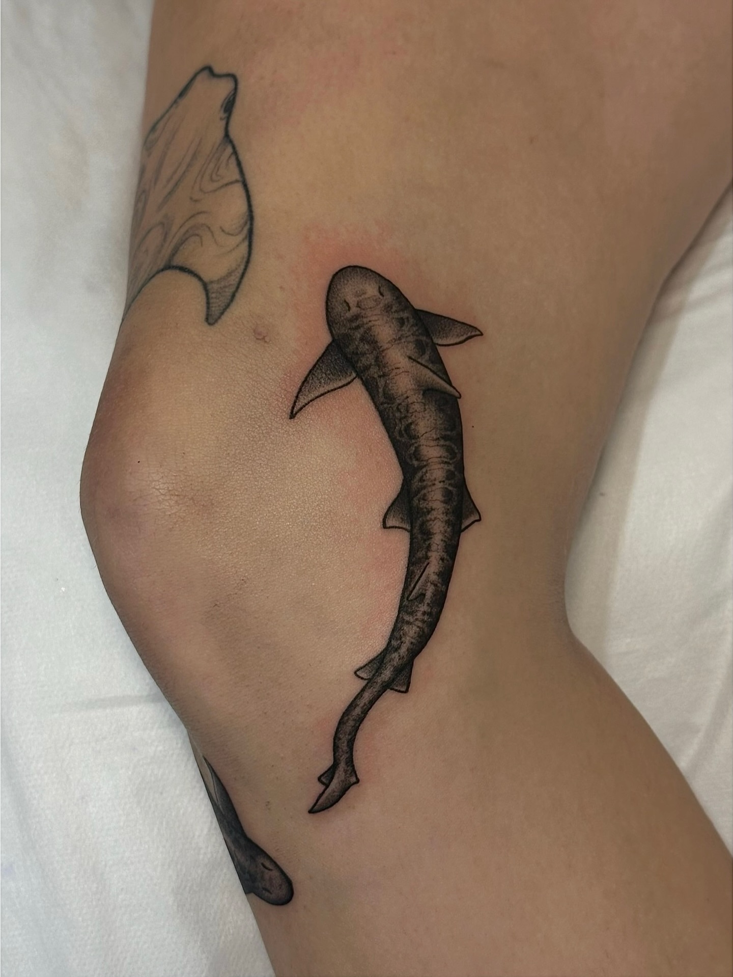 Tattoo by @dogtoothtattoos — black_and_grey