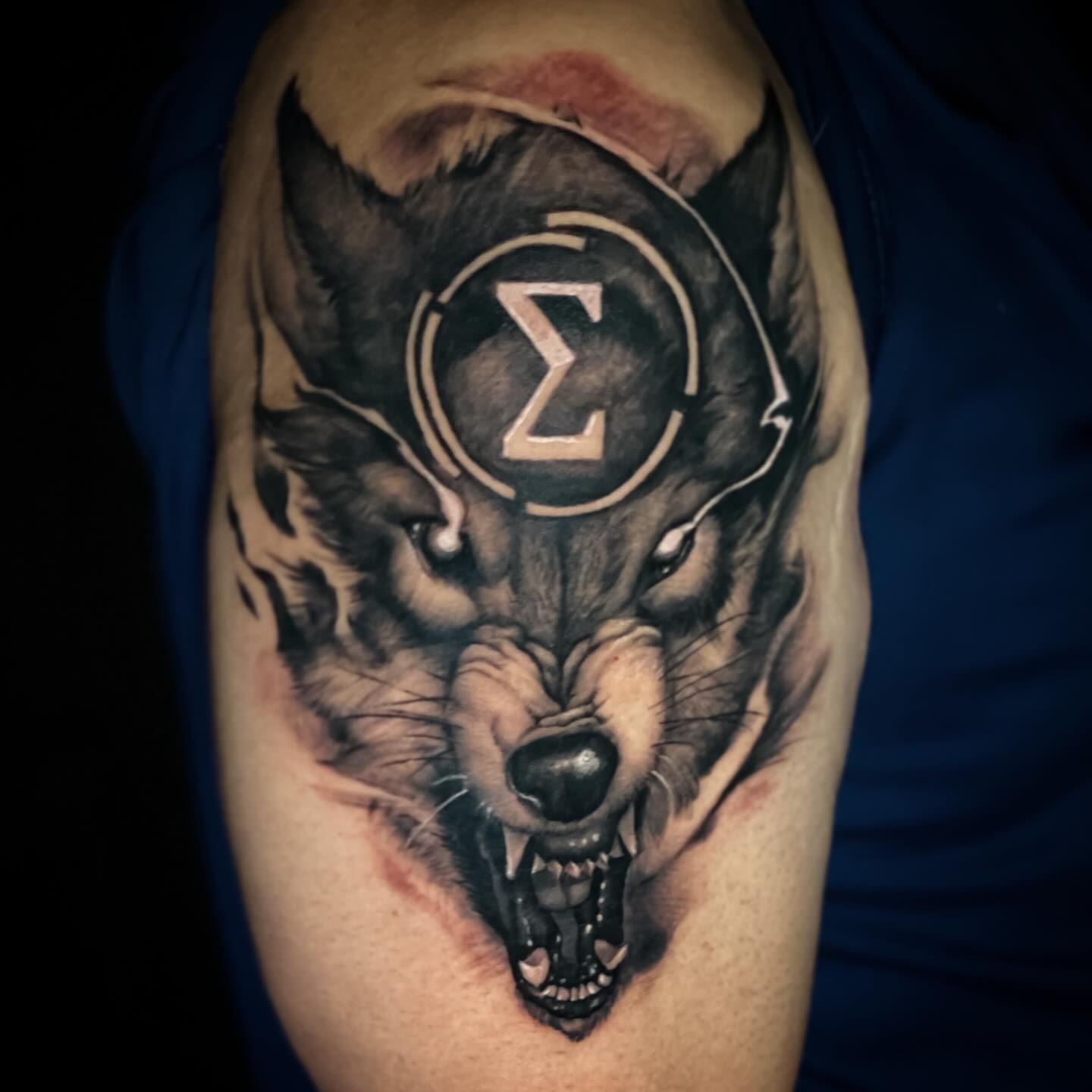 Wolf realism tattoo on the shoulder by Picasso Dular, Lake Forest, California