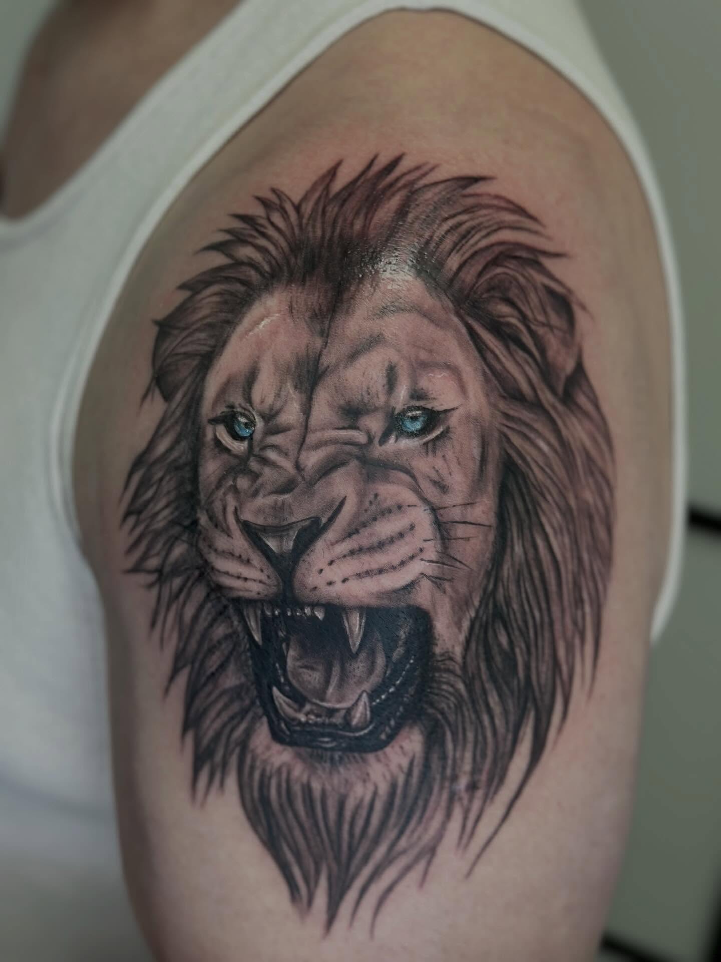 Roaring lion realism tattoo on the shoulder by kenna