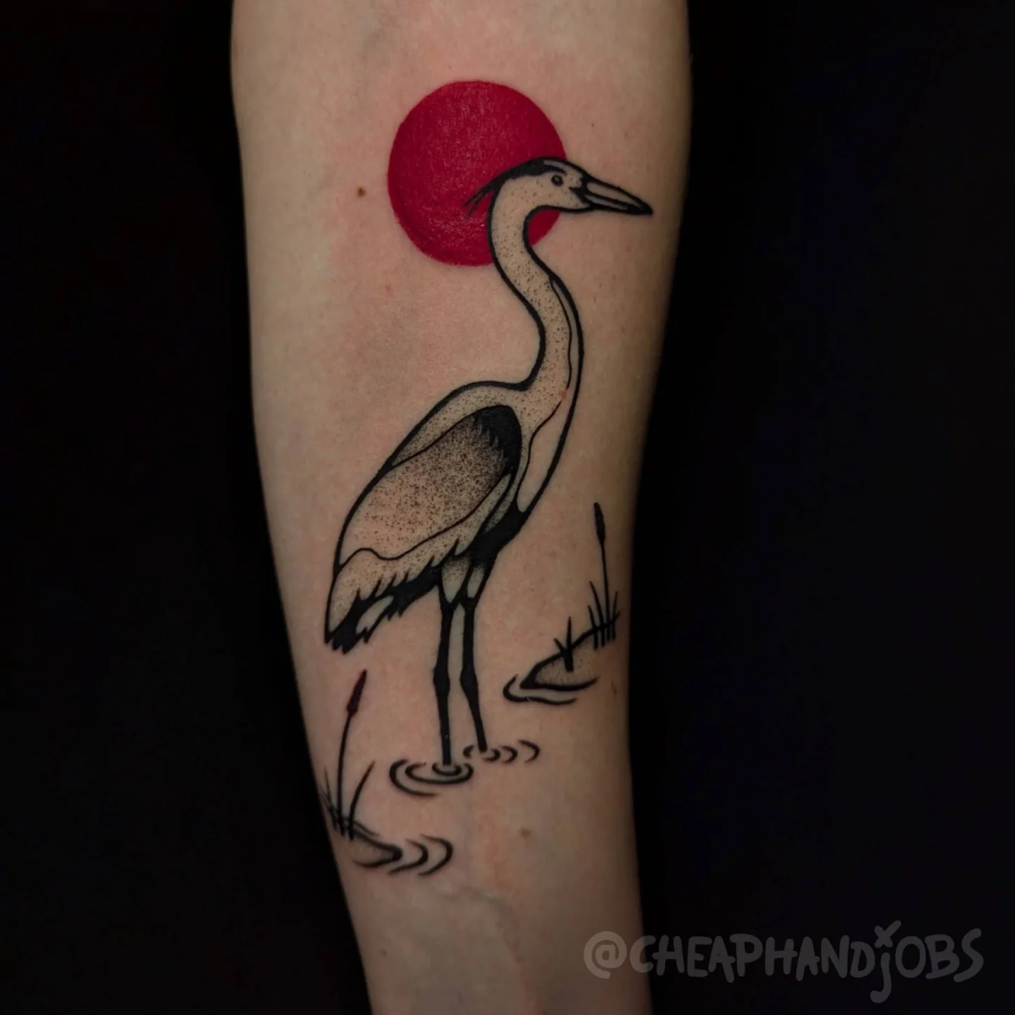 Heron dotwork tattoo on the forearm by @cheaphandjobs, Leipzig, Germany
