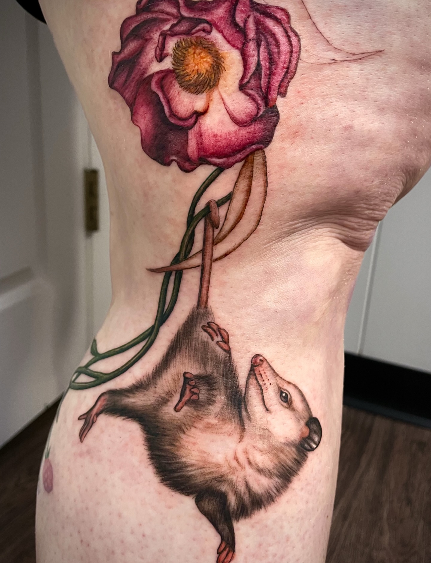 Possum and flower realism tattoo on the torso by @tatts_by_kat