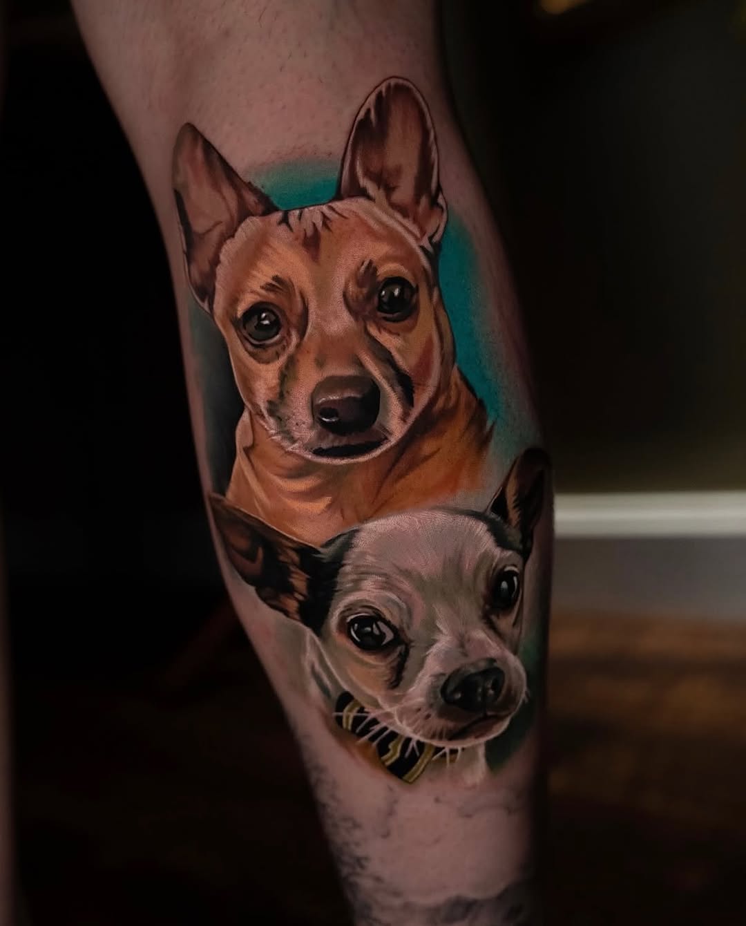Two dogs portrait realism tattoo on the forearm by @kotytattoos