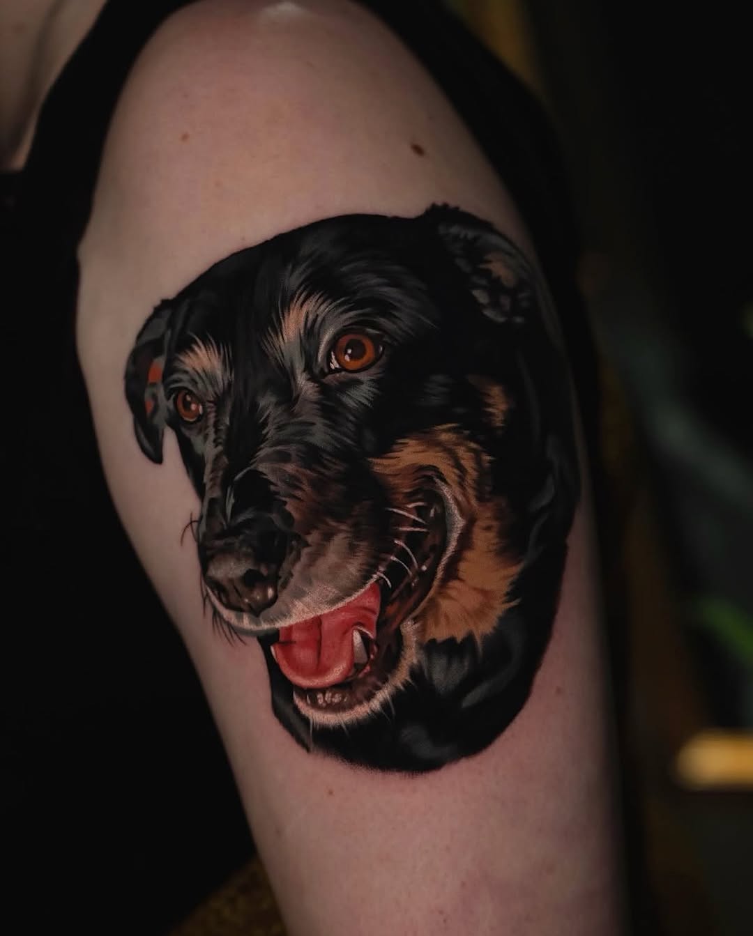 Dog portrait realism tattoo on the upper arm by @kotytattoos