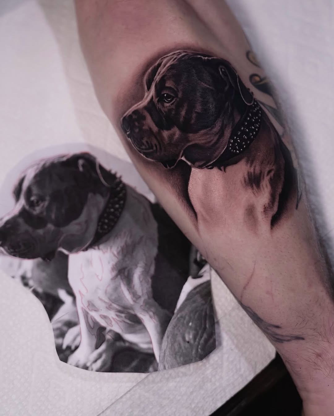 Dog portrait realism tattoo on the forearm by @kotytattoos