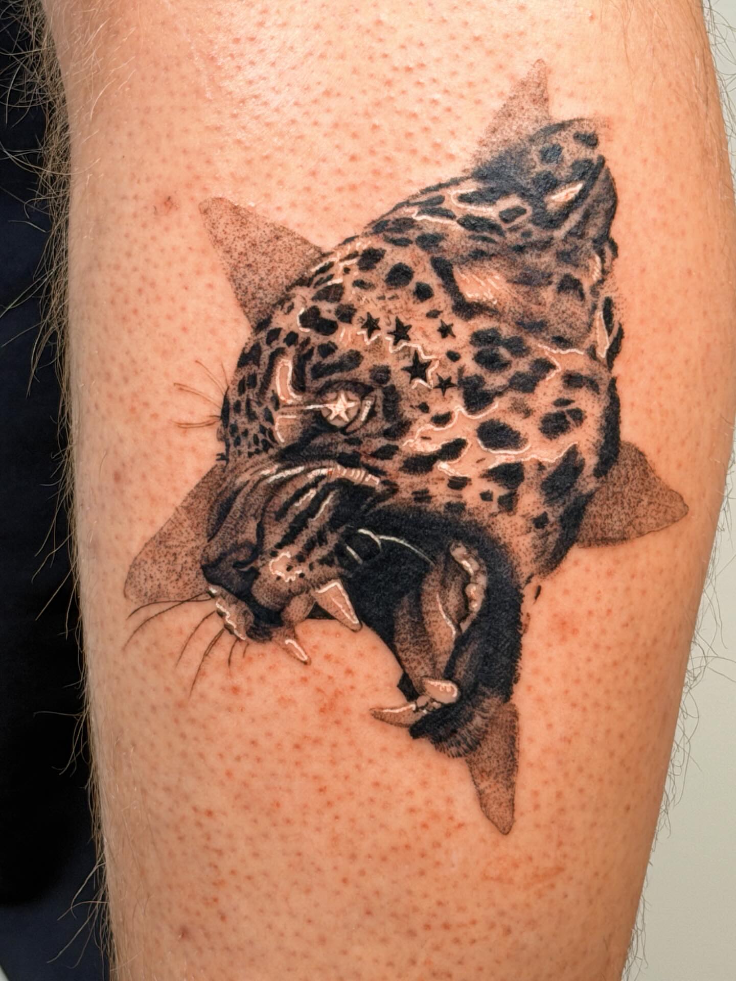 Jaguar realism tattoo on the forearm by Nate Weaver