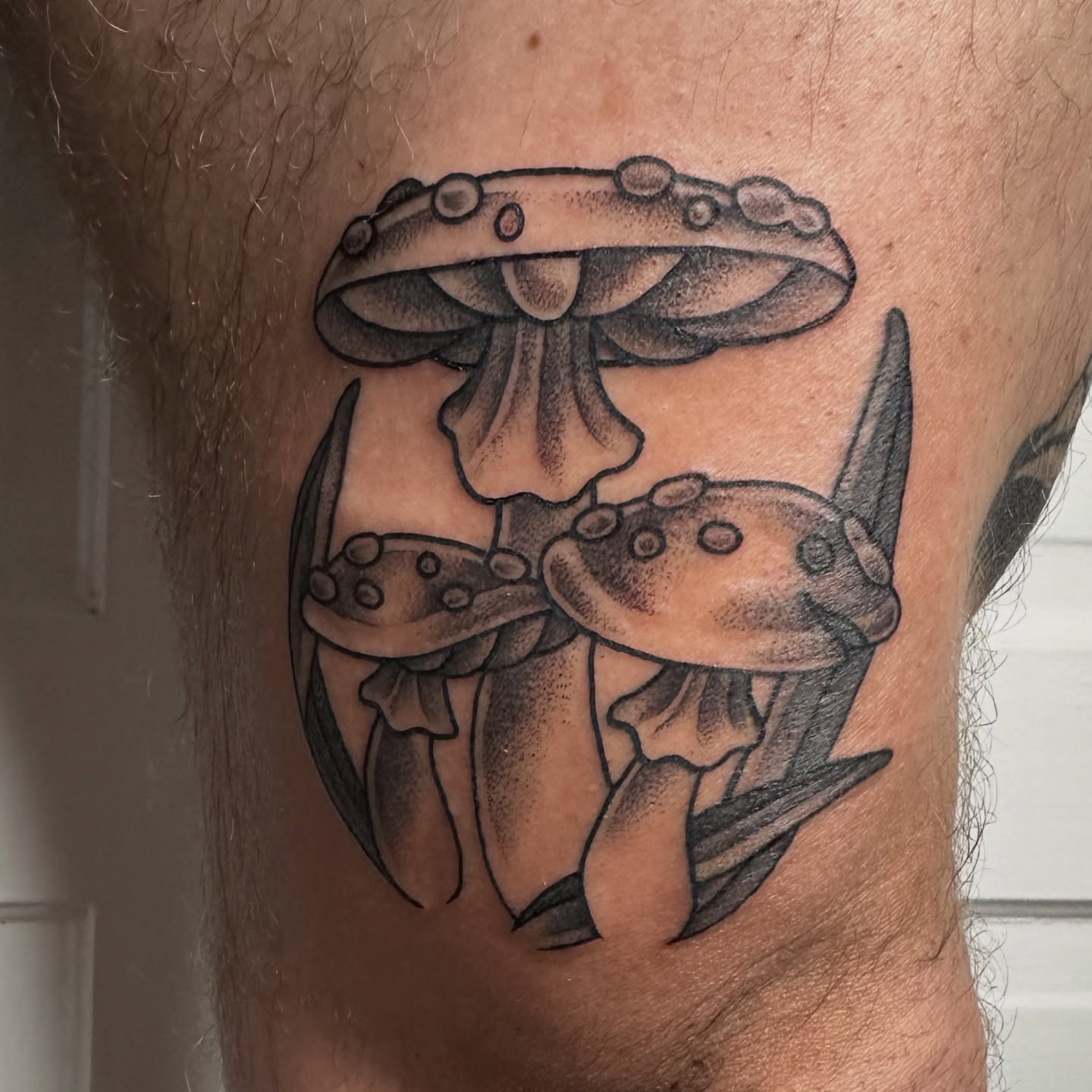 Mushrooms black and grey tattoo on the thigh by Taylor 🍂☕️