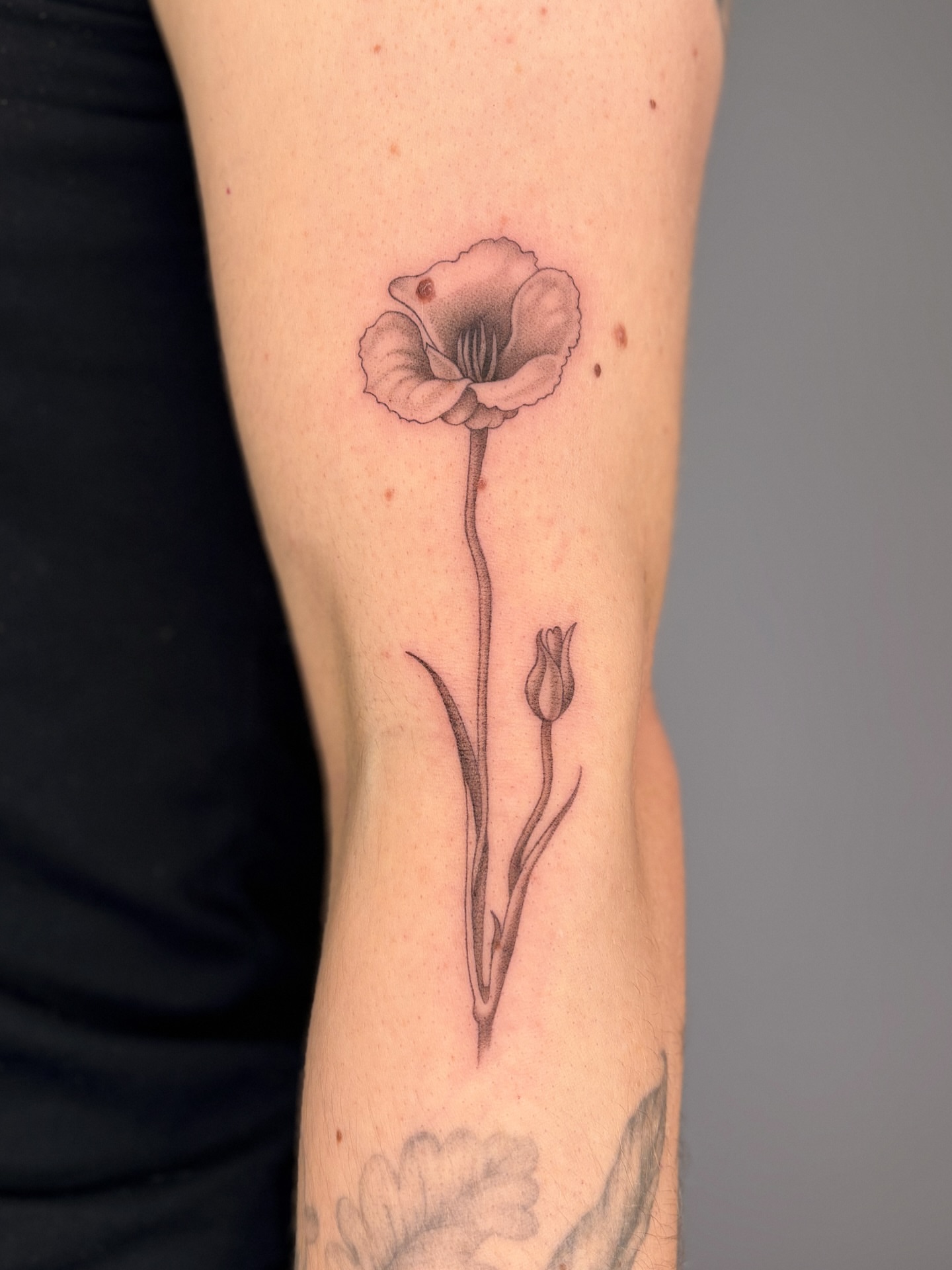 Tattoo by @manuel.dinstruction — black_and_grey