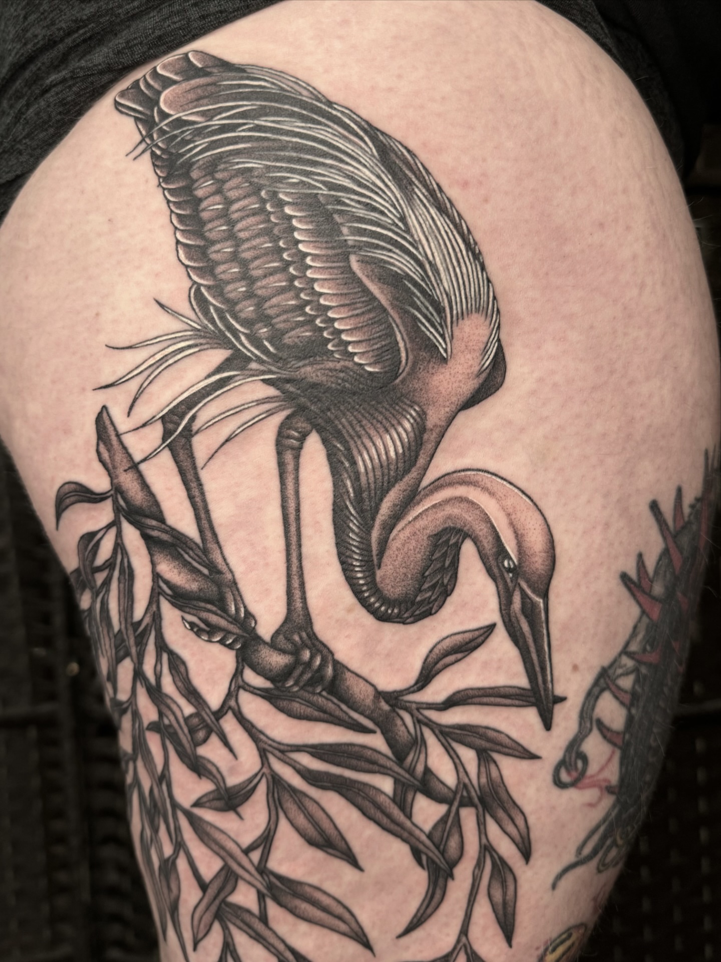 Tattoo by @daniallentattoo — black_and_grey, realism