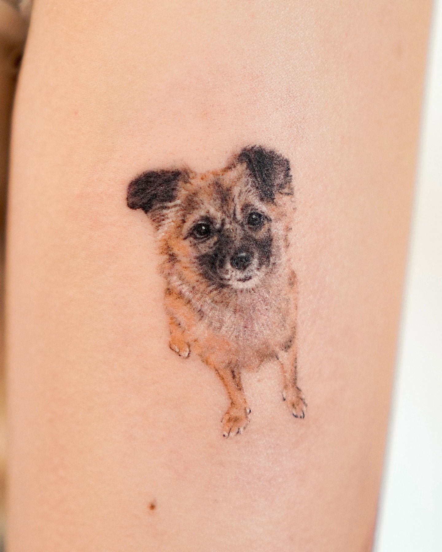 Tattoo by @yous_tattoo — realism