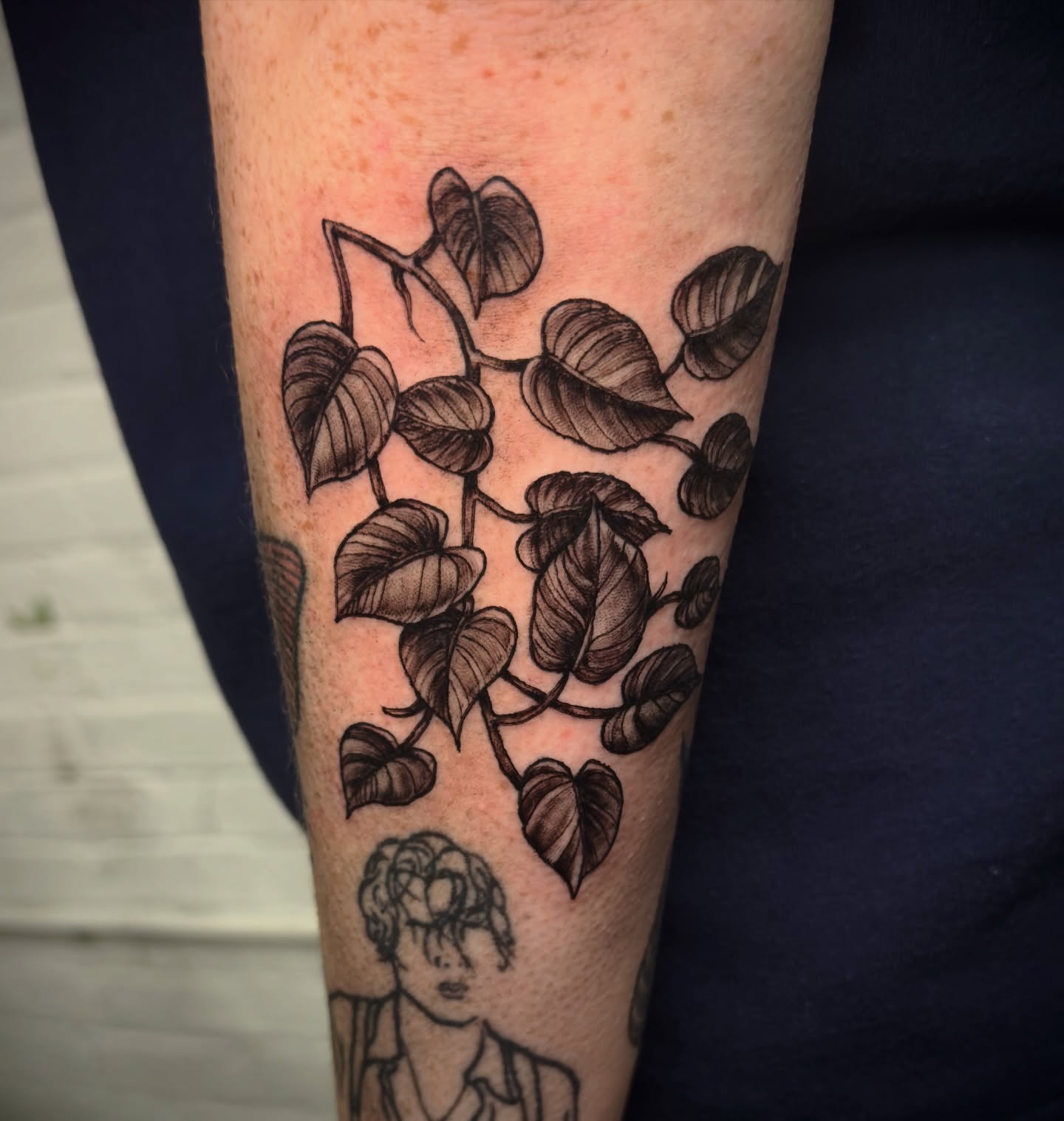 Plant vine black and grey tattoo on the forearm by Jeff Brock